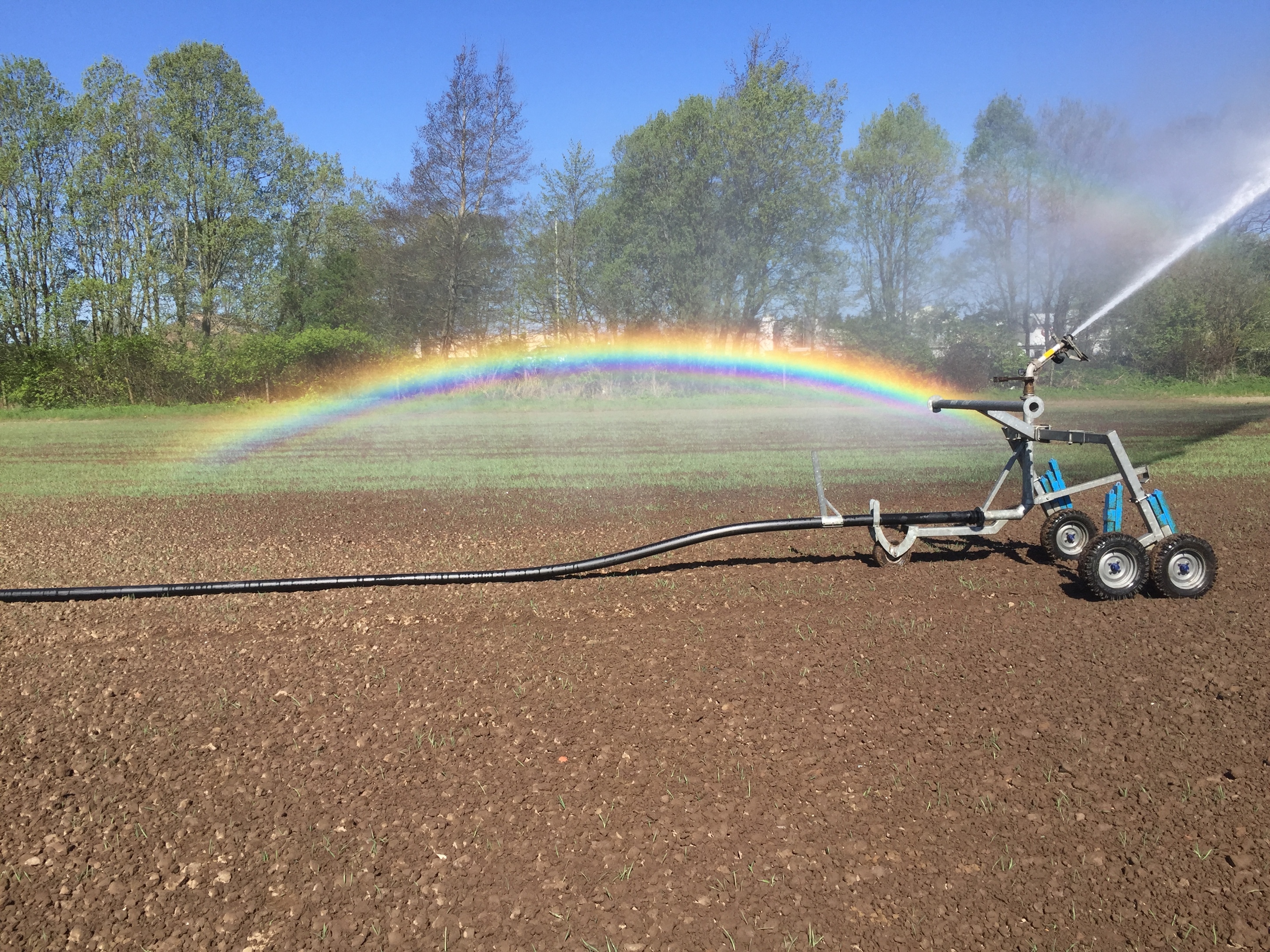 Some farmers are irrigating spring barley to aid germination