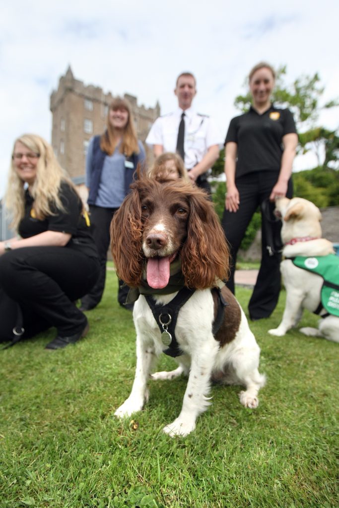 Kerrie Gough, Rebecca Leonardie, Barrie Simpson and Fiona Connor with some of the dogs.