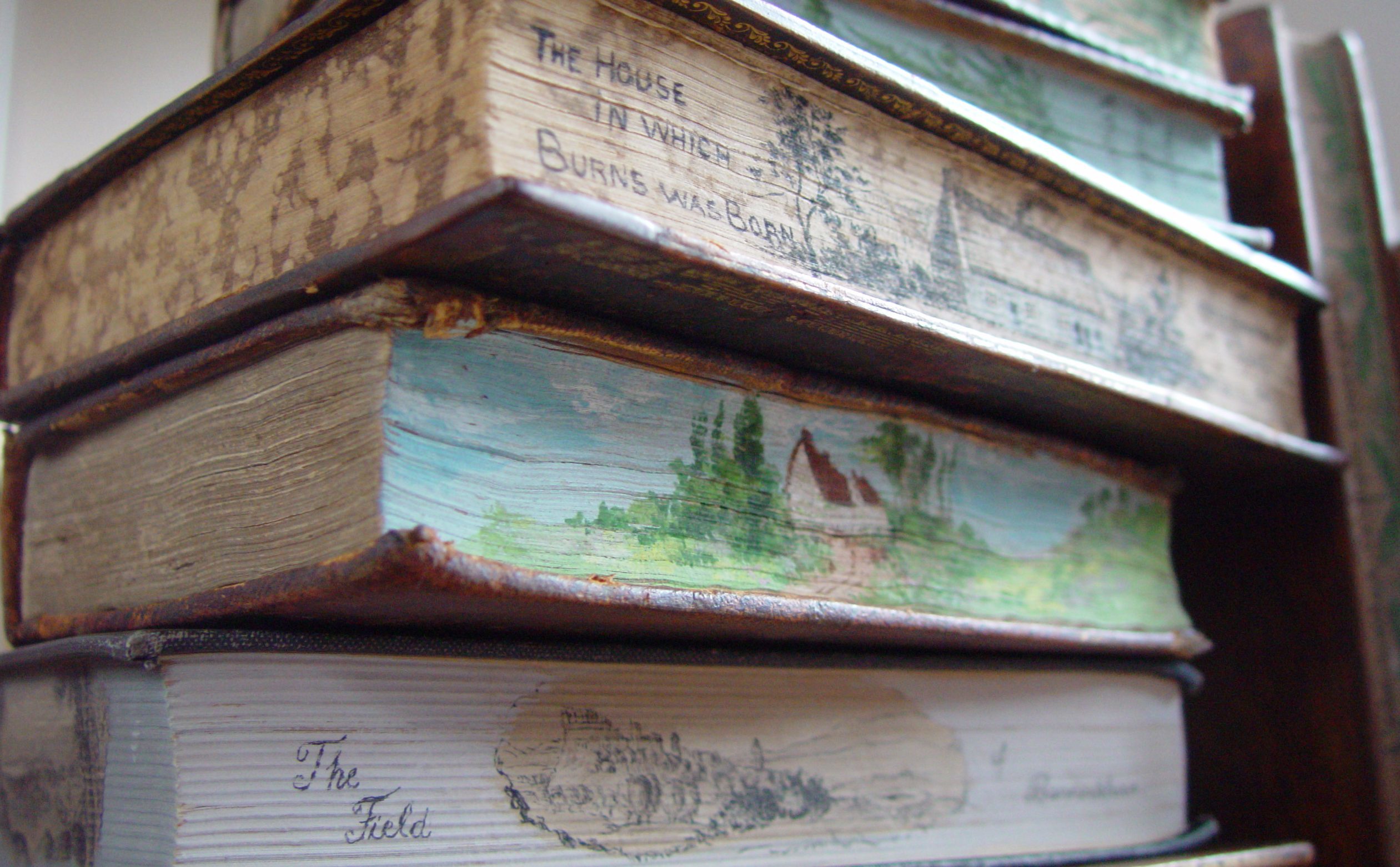 Painted edge pages of a book in the Murison Collection.
