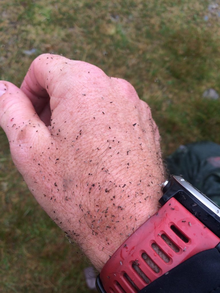 Scot attracts the midges on a 3 day bikepacking trip.