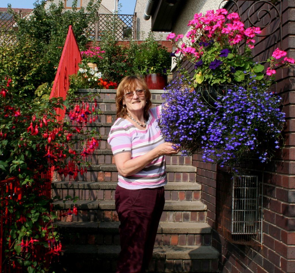 Summer hanging basket