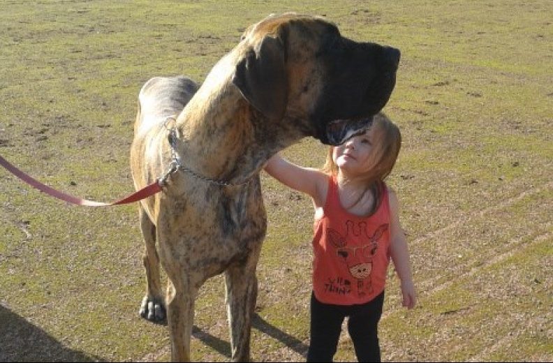 Zeus with Kerry's daughter Chloe-Margaret Stewart.