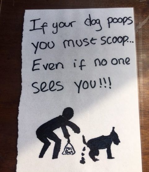 dog poo