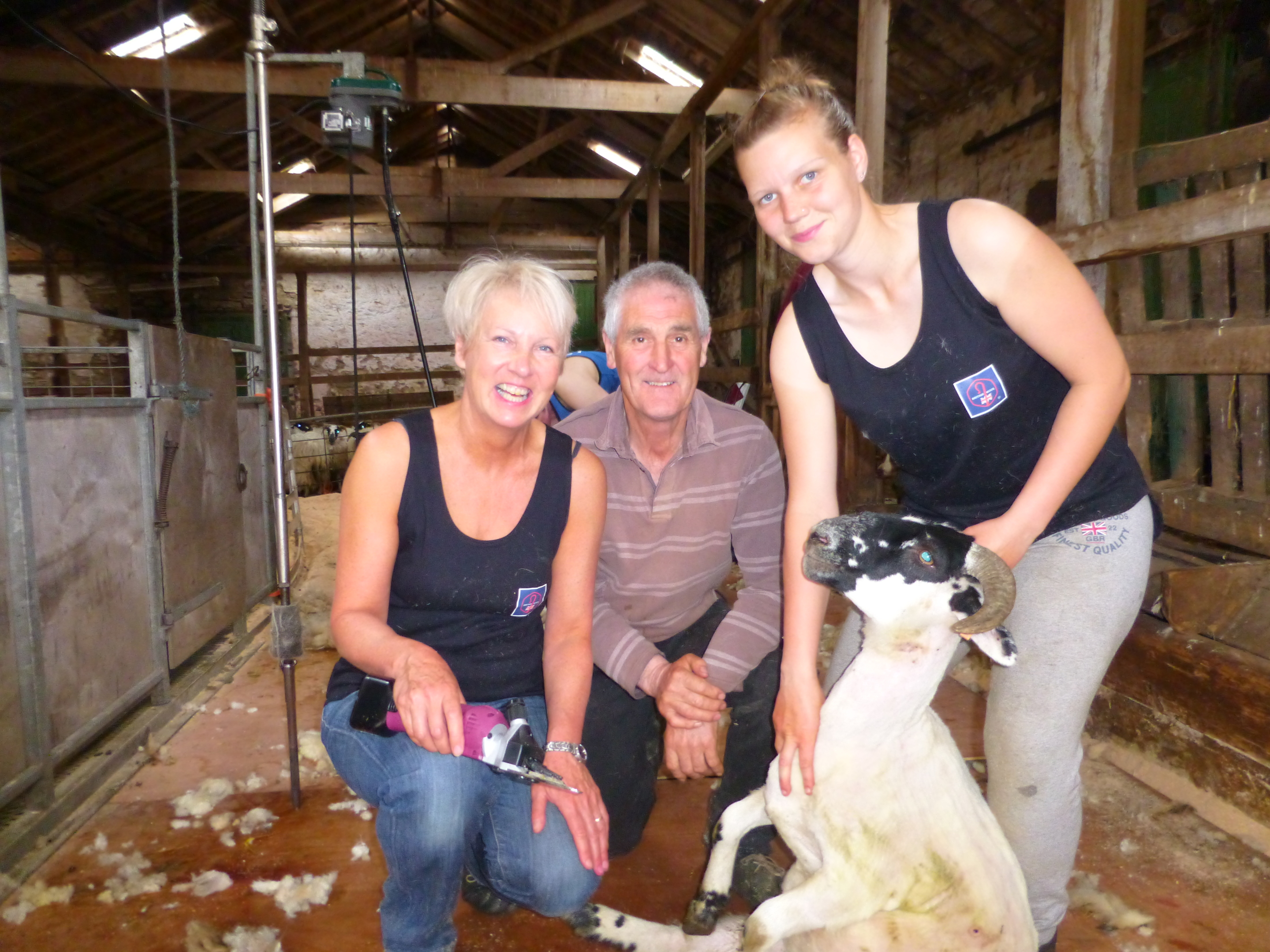 More than 280 students have enrolled on 52 Scottish shearing courses this year