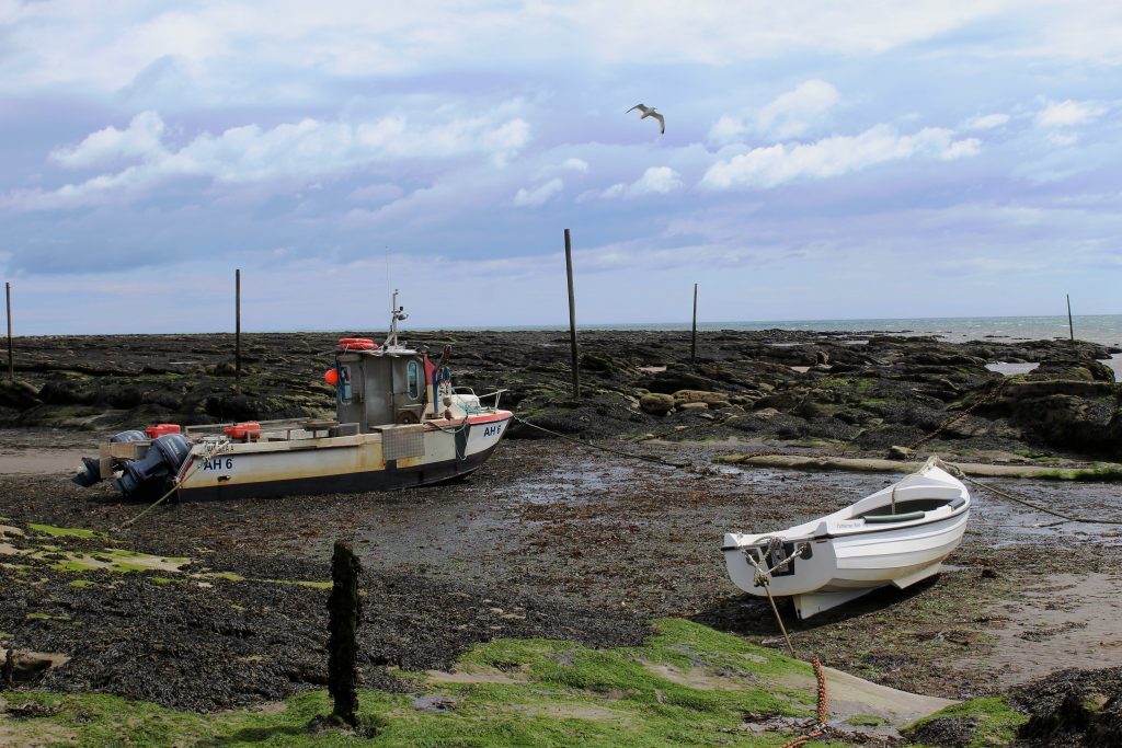 1 - Boats in the harbour at West Haven - James Carron, Take a Hike