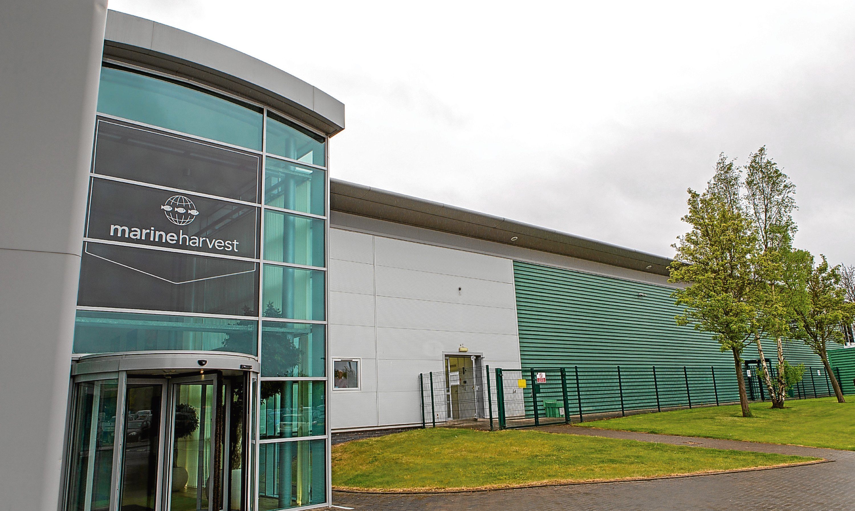 Marine Harvest's base at Admiralty Park in Rosyth