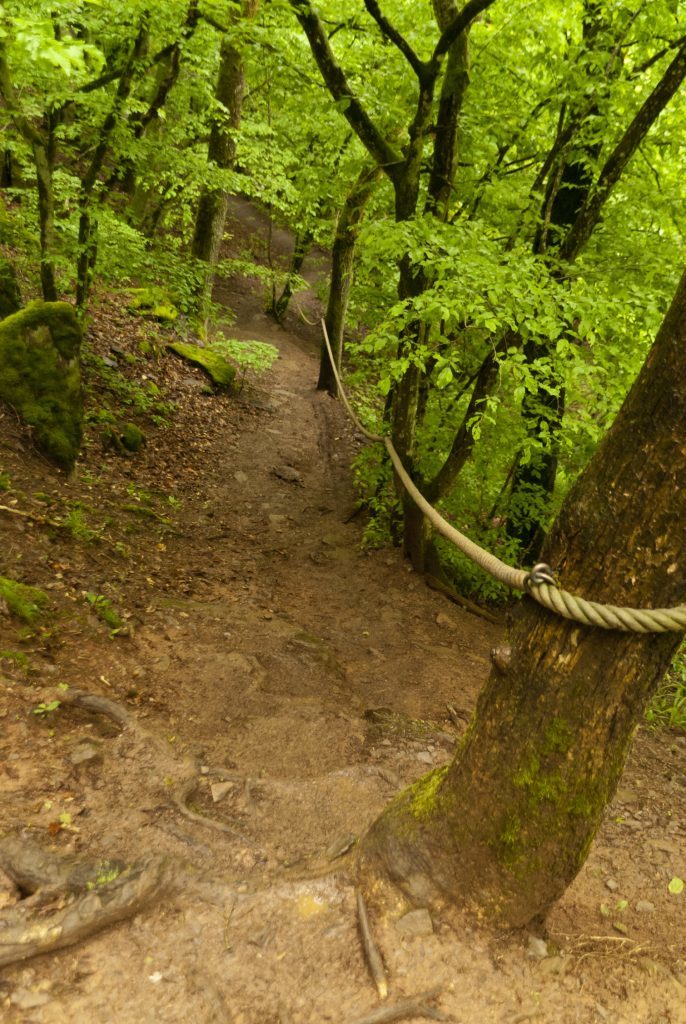 On the hiking trail Eifelsteig in the Eifel National Park.