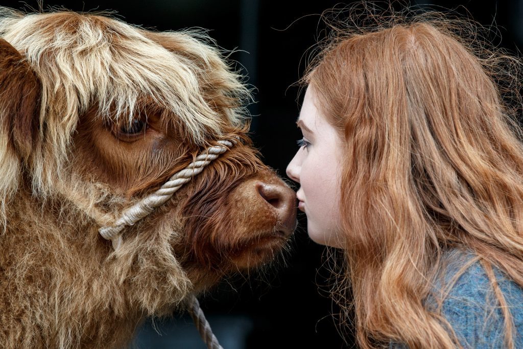 Laura Hunter (18) from Barnhill Farm, Shotts with a Highland calf before the 177th Royal Highland Show.