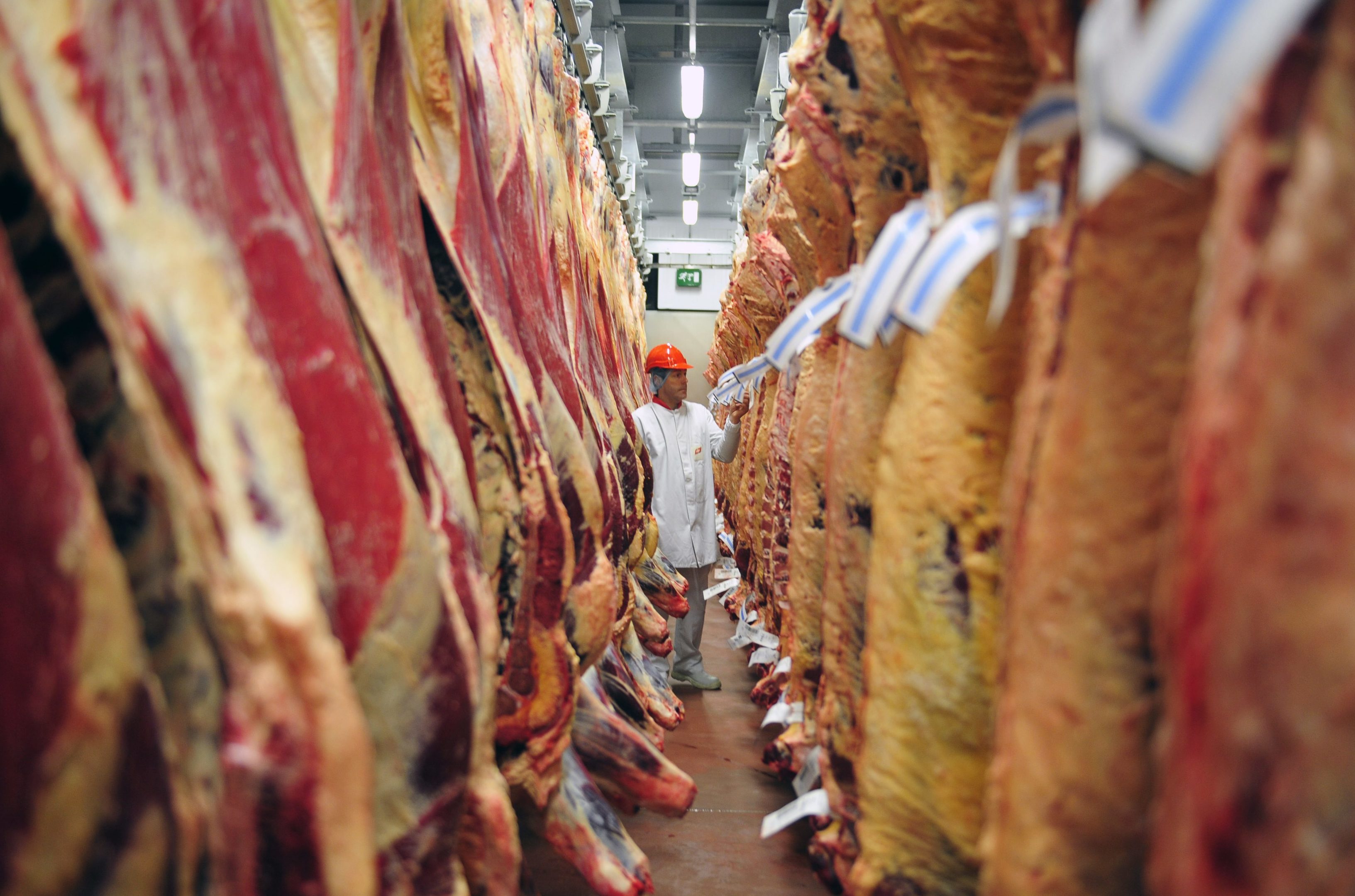 An employee of ABP Foods inspects Beef carcases in a cold storage room.