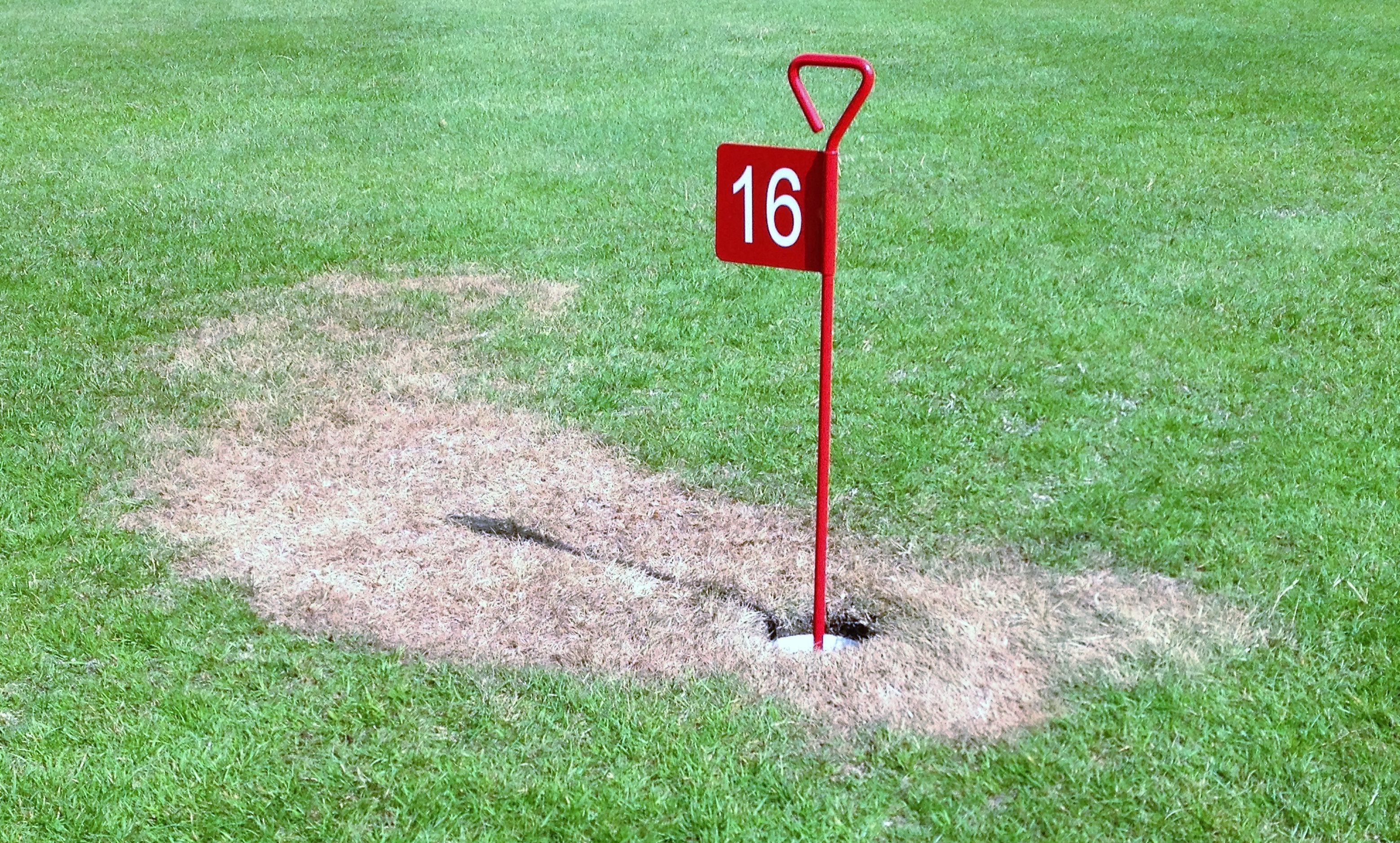 Vandals struck at four holes at Aberfeldy putting green.