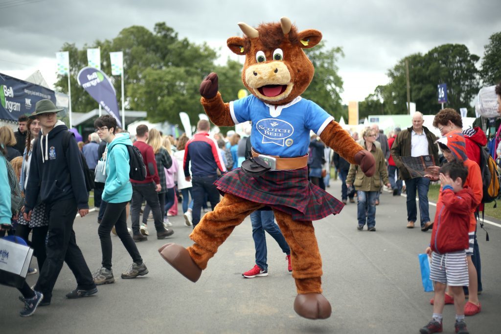 Fun and games with the Scotch Beef mascot at the Royal Highland Show.