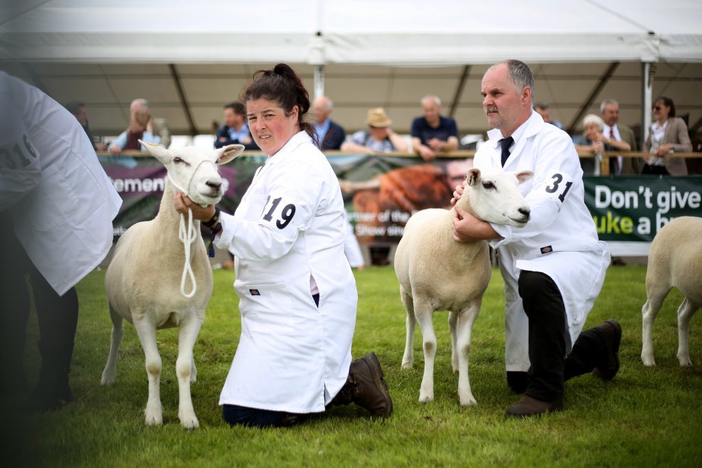 Sheep and their owners at Royal Highland Show.