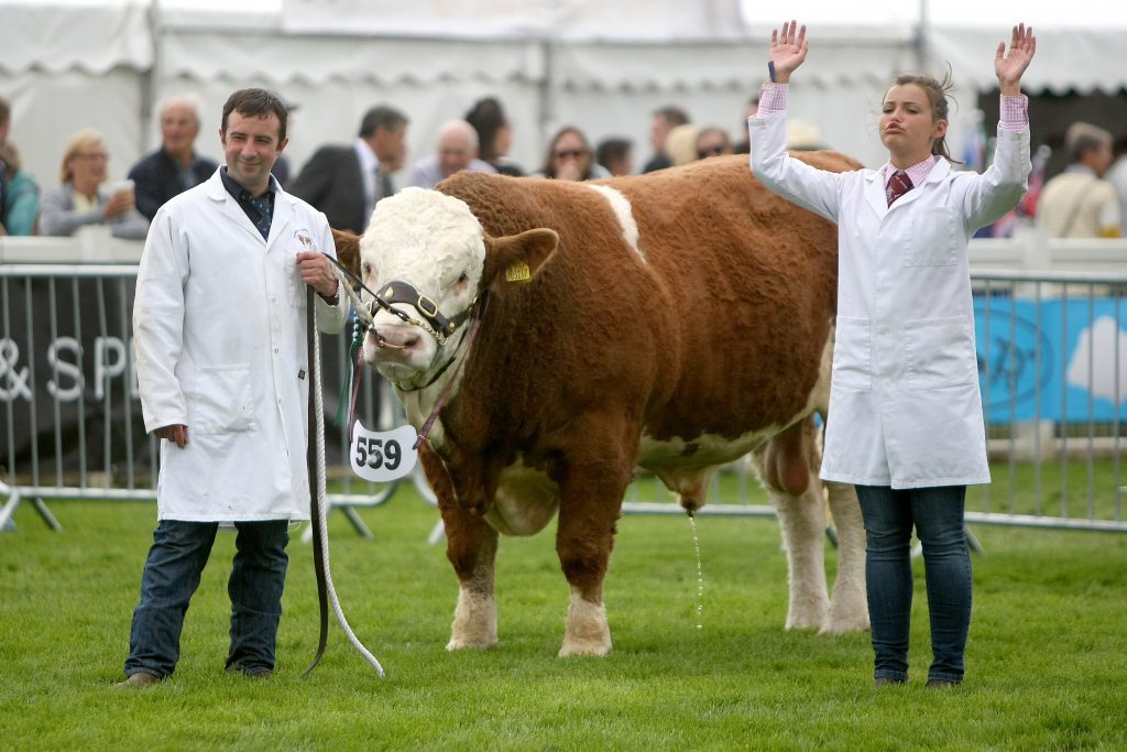 The Royal Highland Show at Ingliston attracted large crowds.