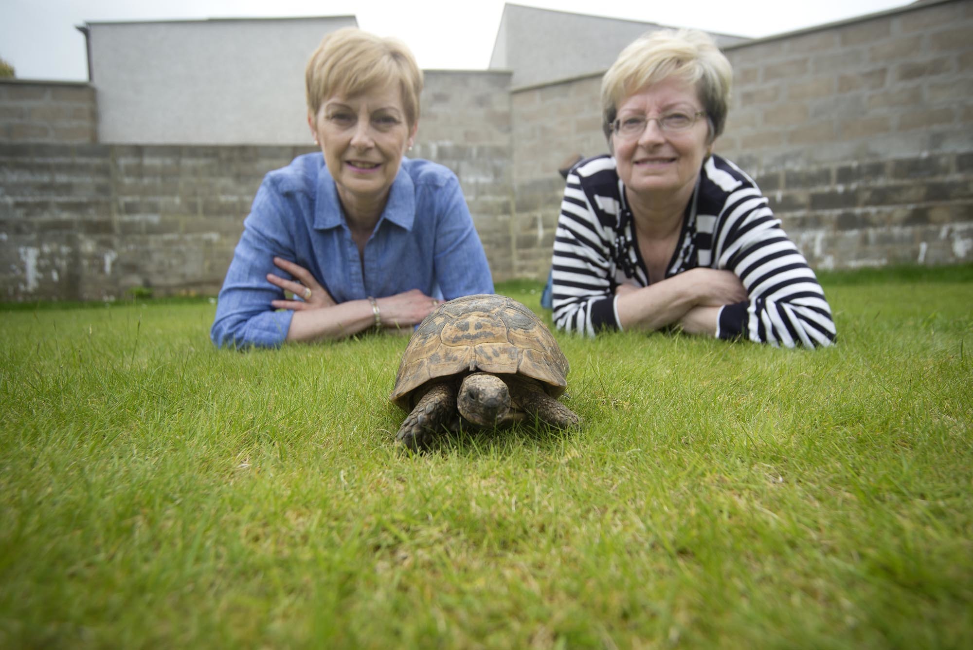 Twins Angela Russell-Taylor and Jacqueline Hall with Timmy the Tortoise, 50 years after they snapped him up for the princely sum of 37p.