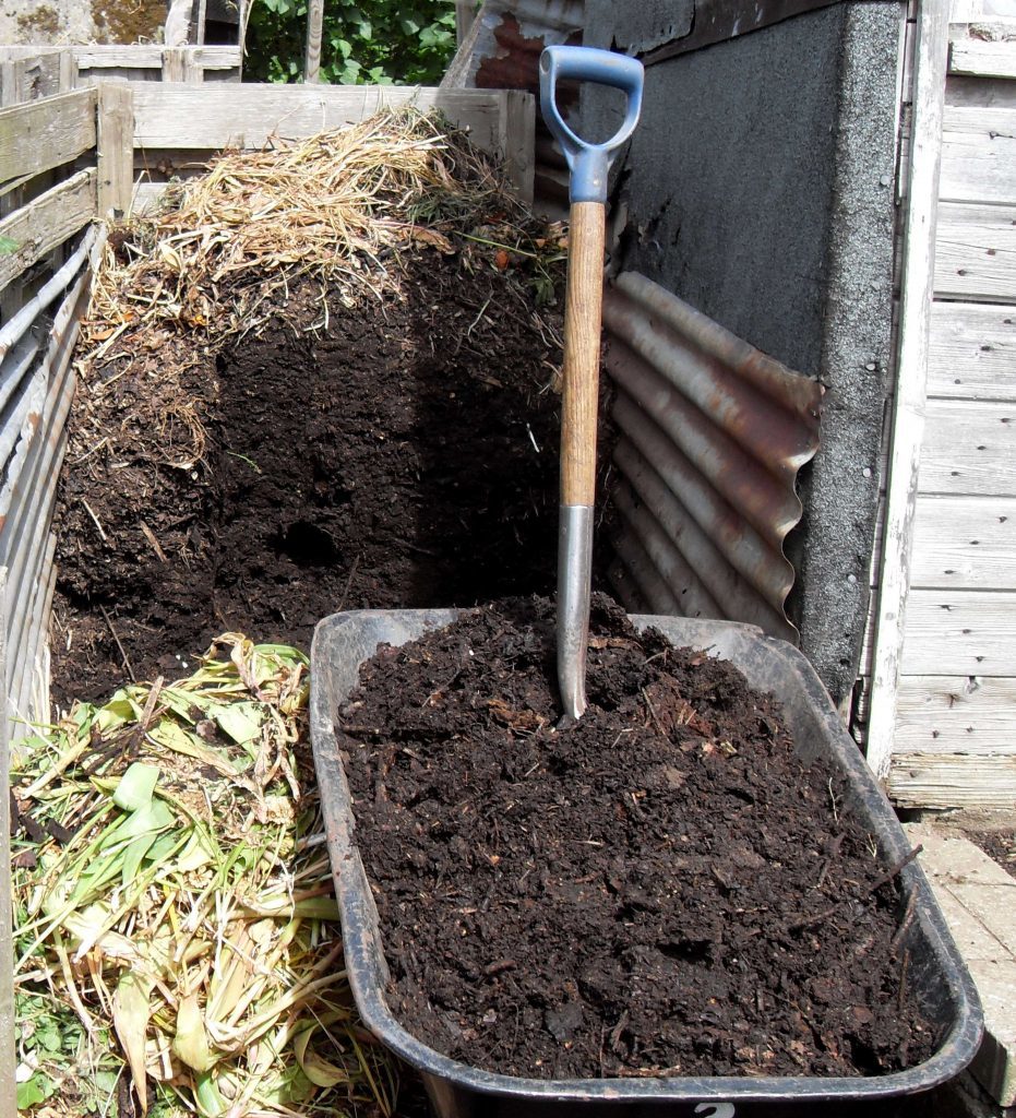 Six month old compost ready to use