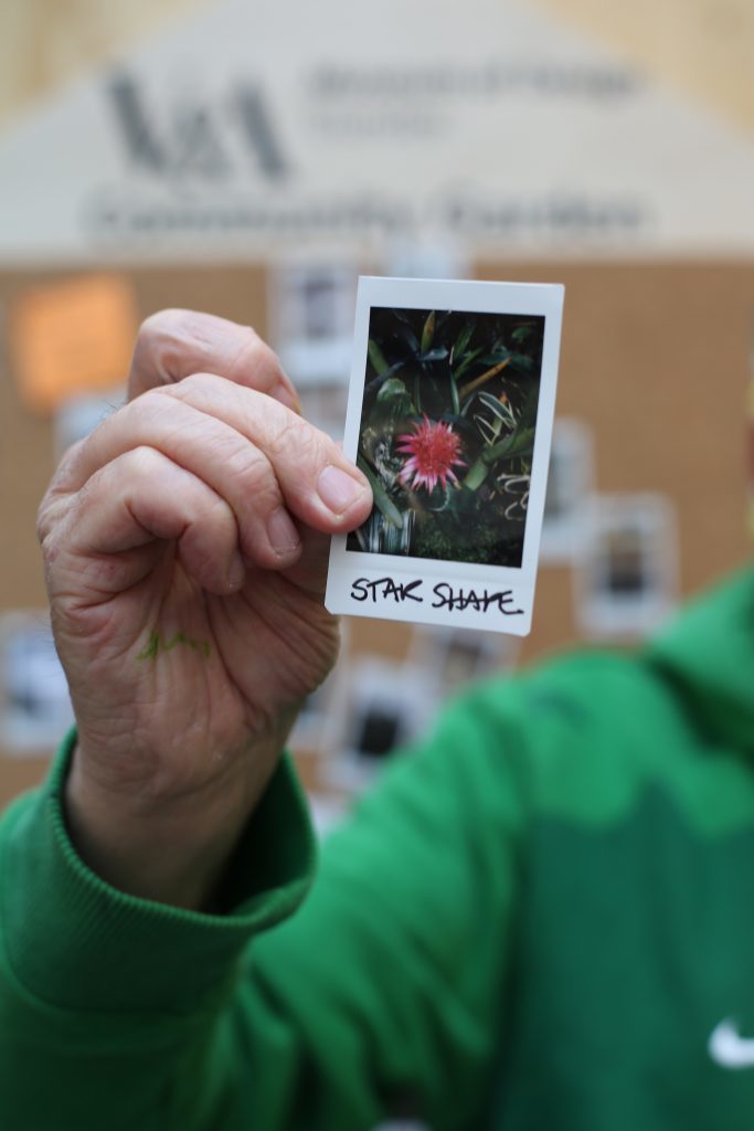 V&A Dundee Community Garden 5 - credit Dylan Drummond