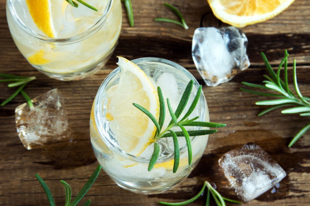 gin tonic cocktail with lemon, rosemary