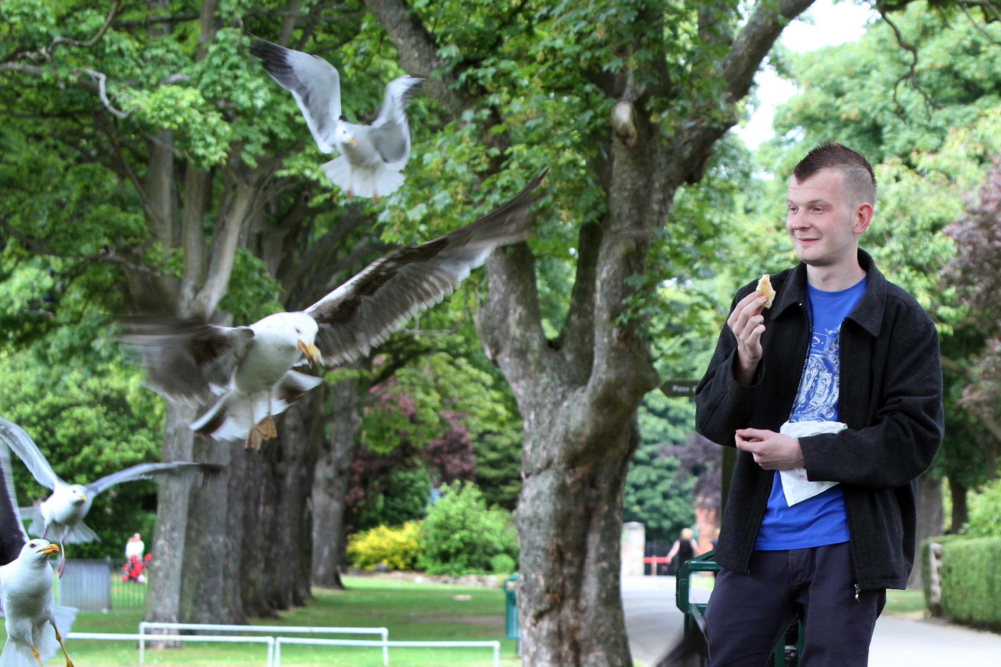 Peter Menellis is calling for a gull cull in Kirkcaldy.