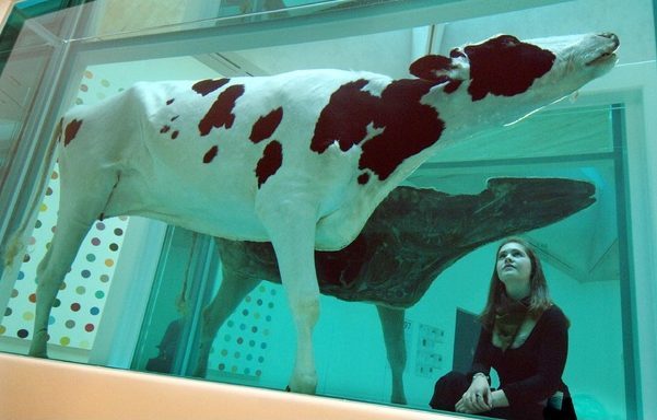 The inclusion of Damien Hirst’s Mother and Child, Divided (a cow and calf, each bisected and preserved in formaldehyde solution) in the exhibition the year he won the Turner prize brought an unprecedented peak in visitor numbers and created tabloid excitement, adding to both the artist’s and the prize’s notoriety.