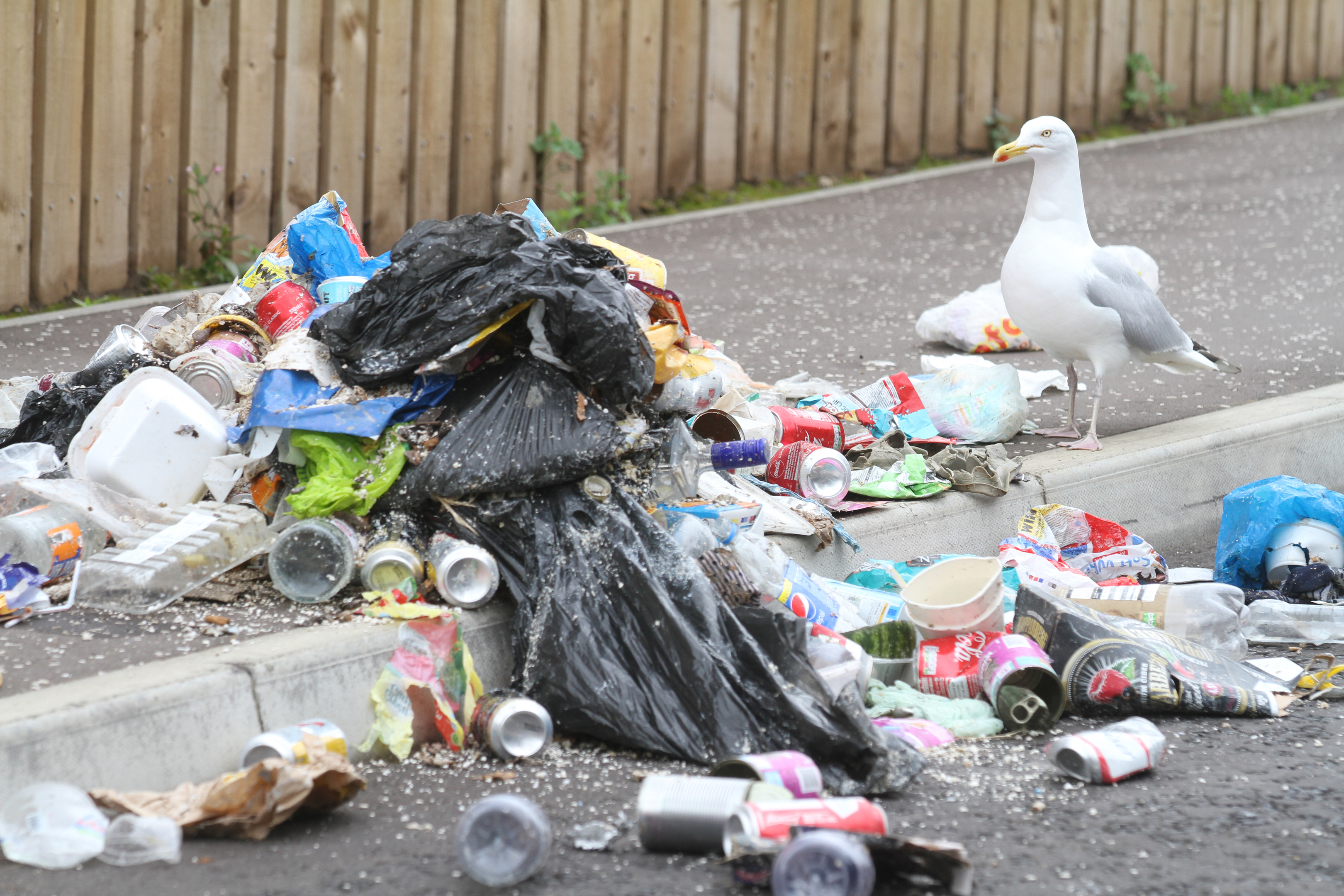 Communities in Angus are going to war on litter.