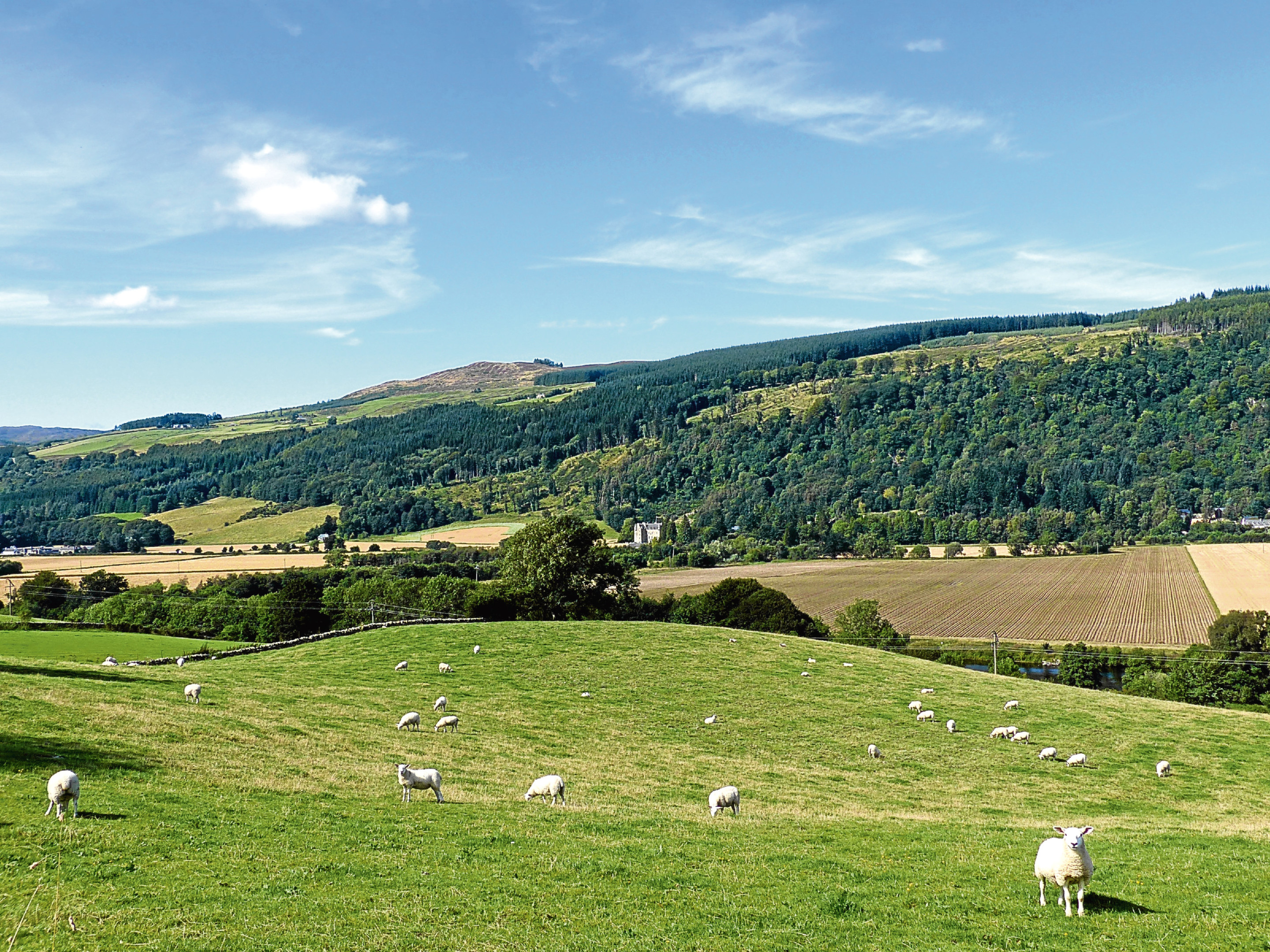 Farming organisations from across the UK have united in a call to Governments to work together