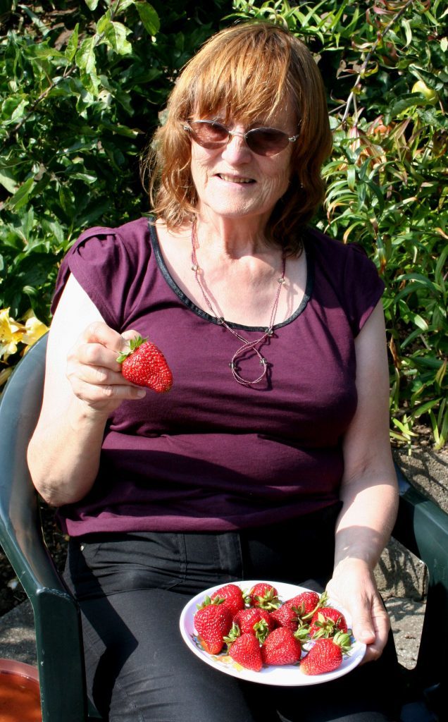 Anna sampling the early strawberries