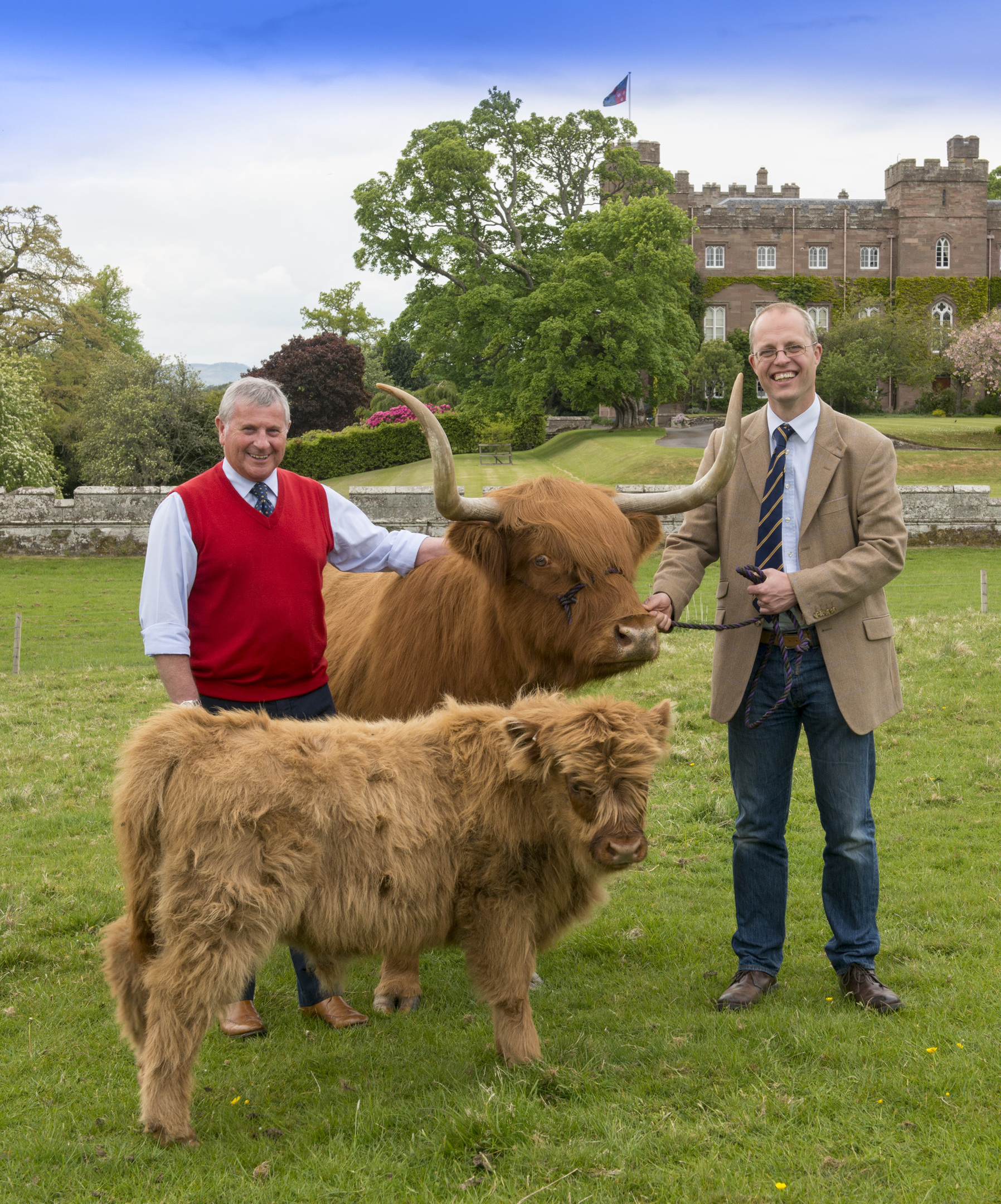 Some of the finest cattle in the country will be on show at Perth