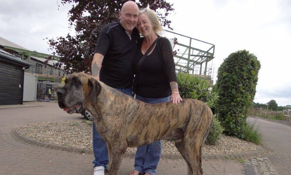 David and Veronica with Zeus.