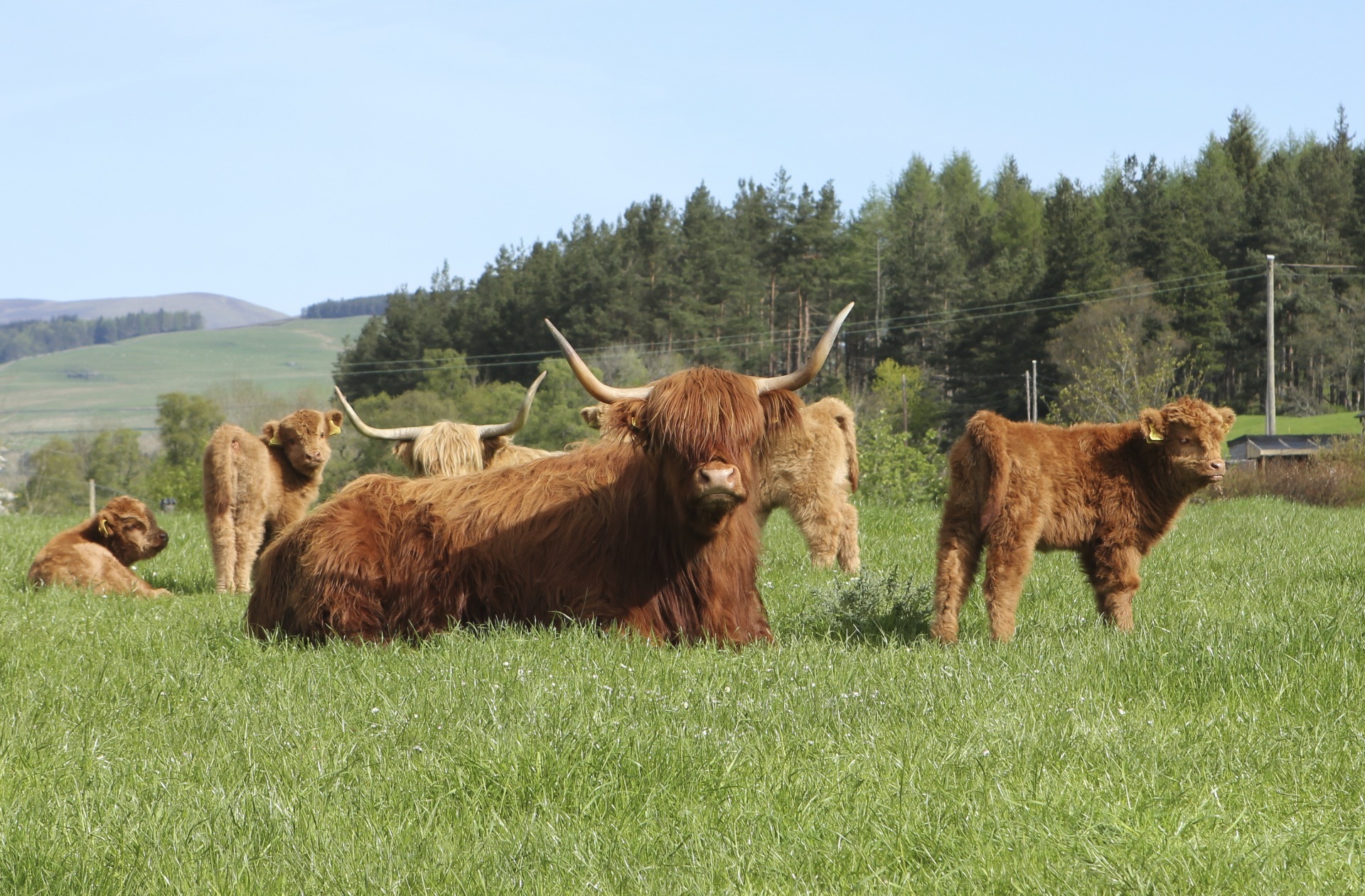 Tours will take farmers to the hill ground in a fleet of tractors and trailers