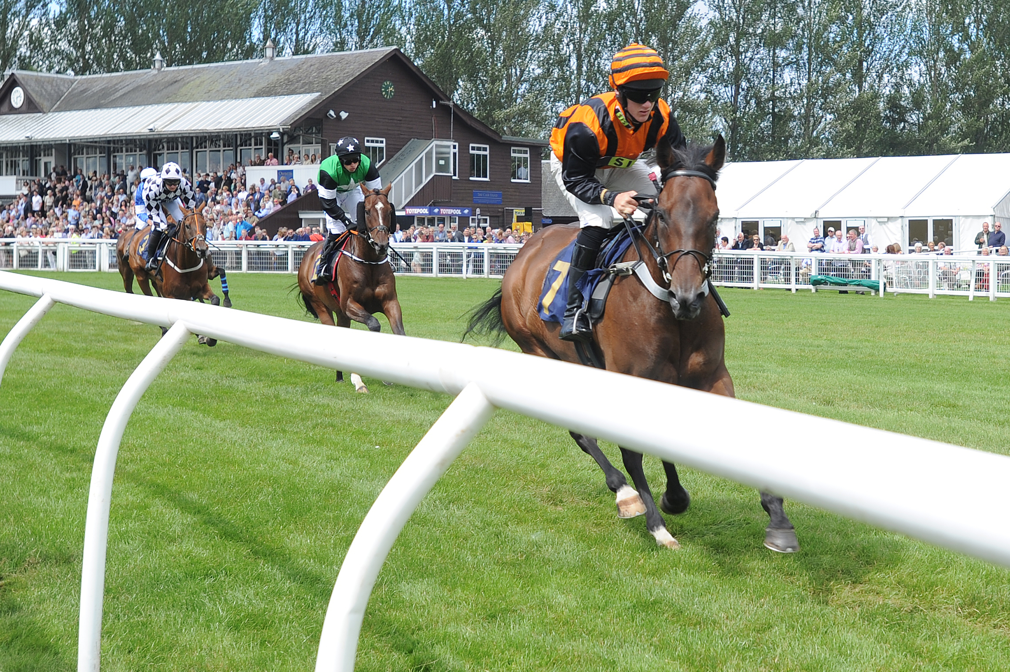 Action from the second race at the Perth Racecourse Family Day,