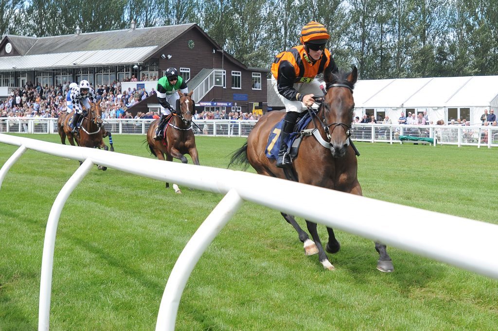 Action from the second race, Perth Races Family Day, Scone.