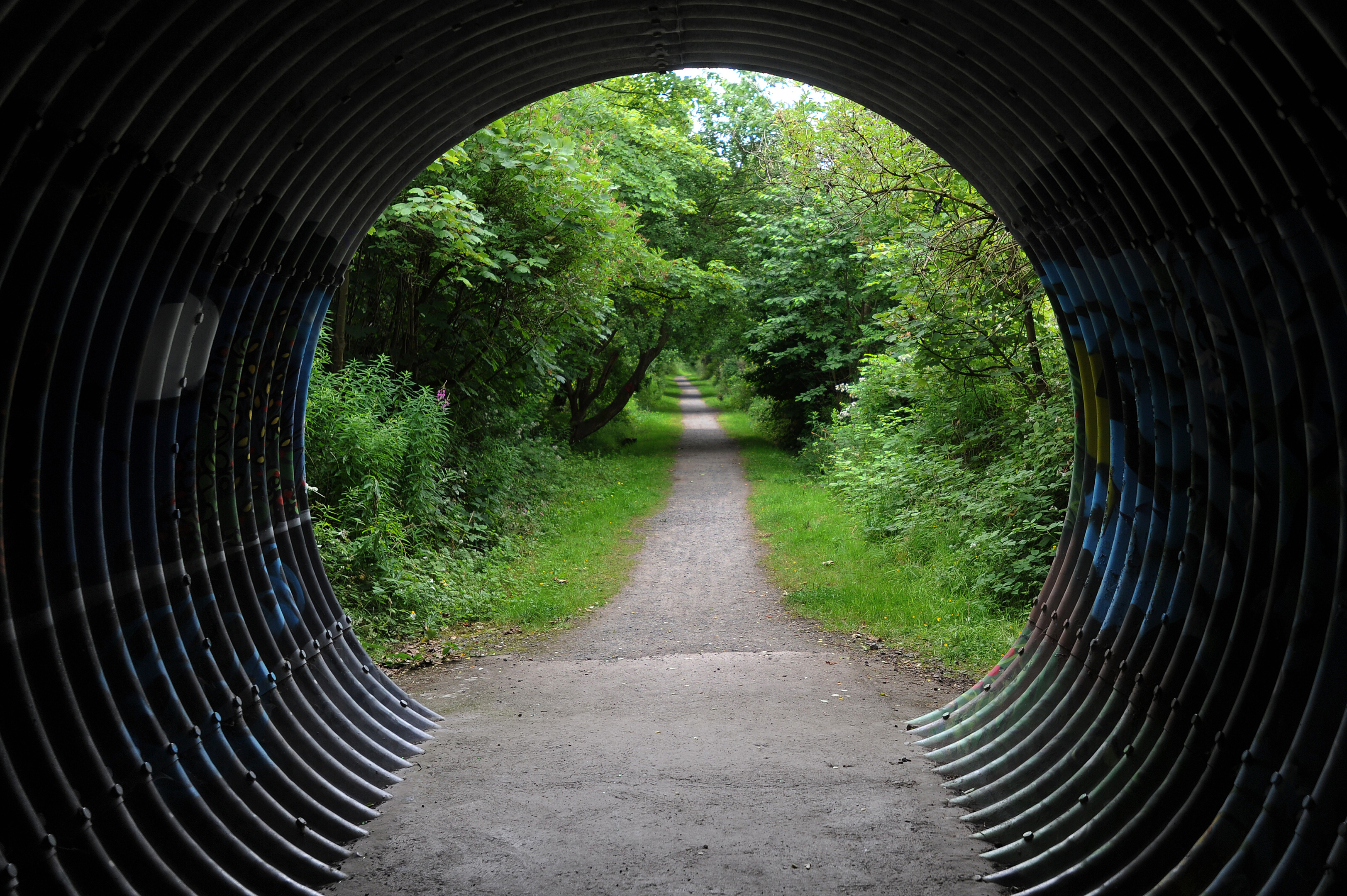 The footpath through the Scottish Wildlife Trust's "The Miley" wildlife reserve.