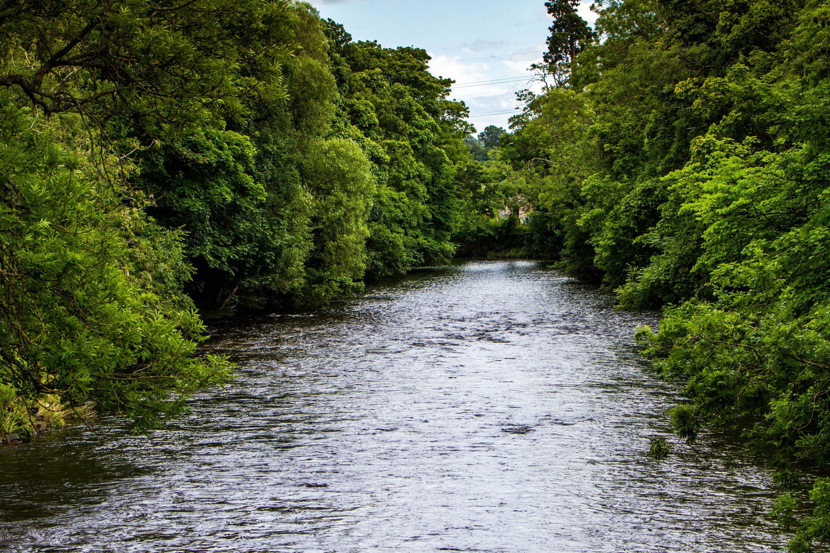 River Almond