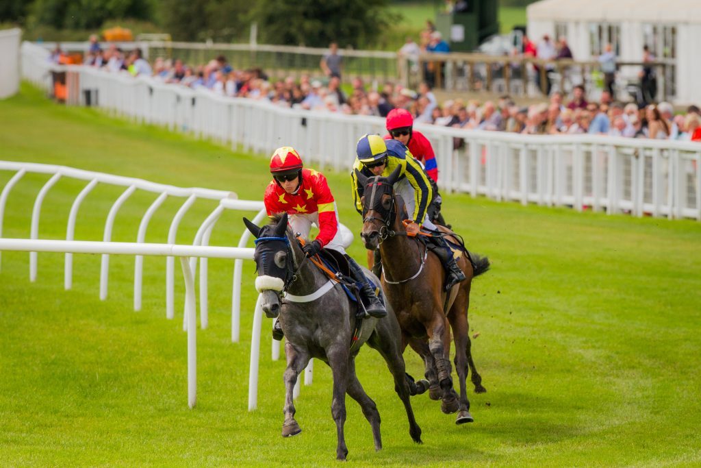 Race meeting at Perth Racecourse.