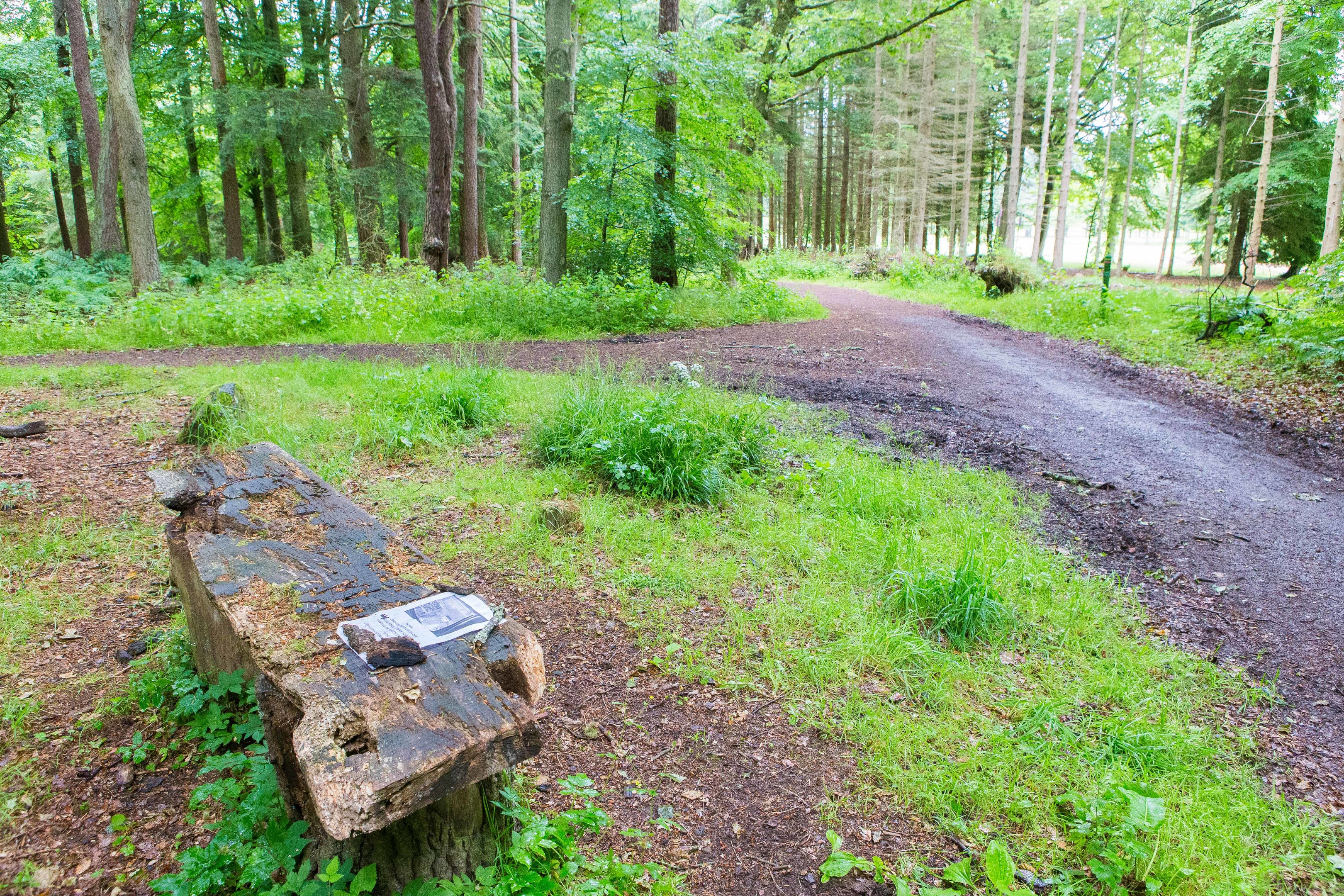 The warning leaflet on a bench in Templeton Woods.