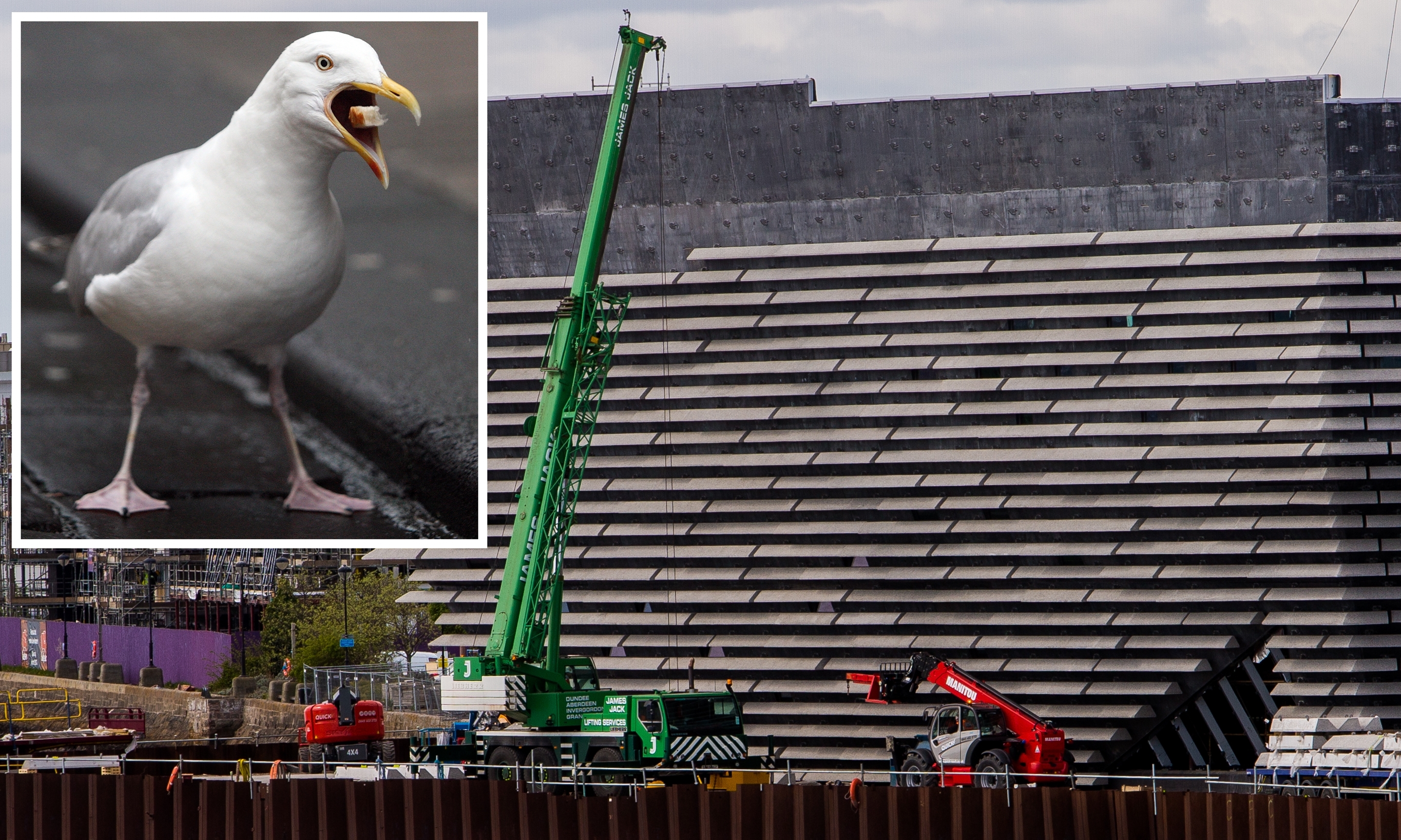 V&A chiefs believe the tiered exterior will not be to the liking of the city's gull population.