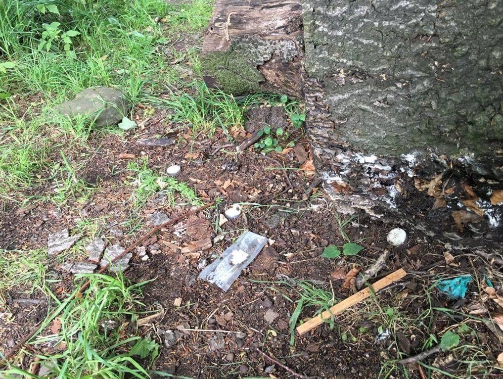 The syringe found near the path.