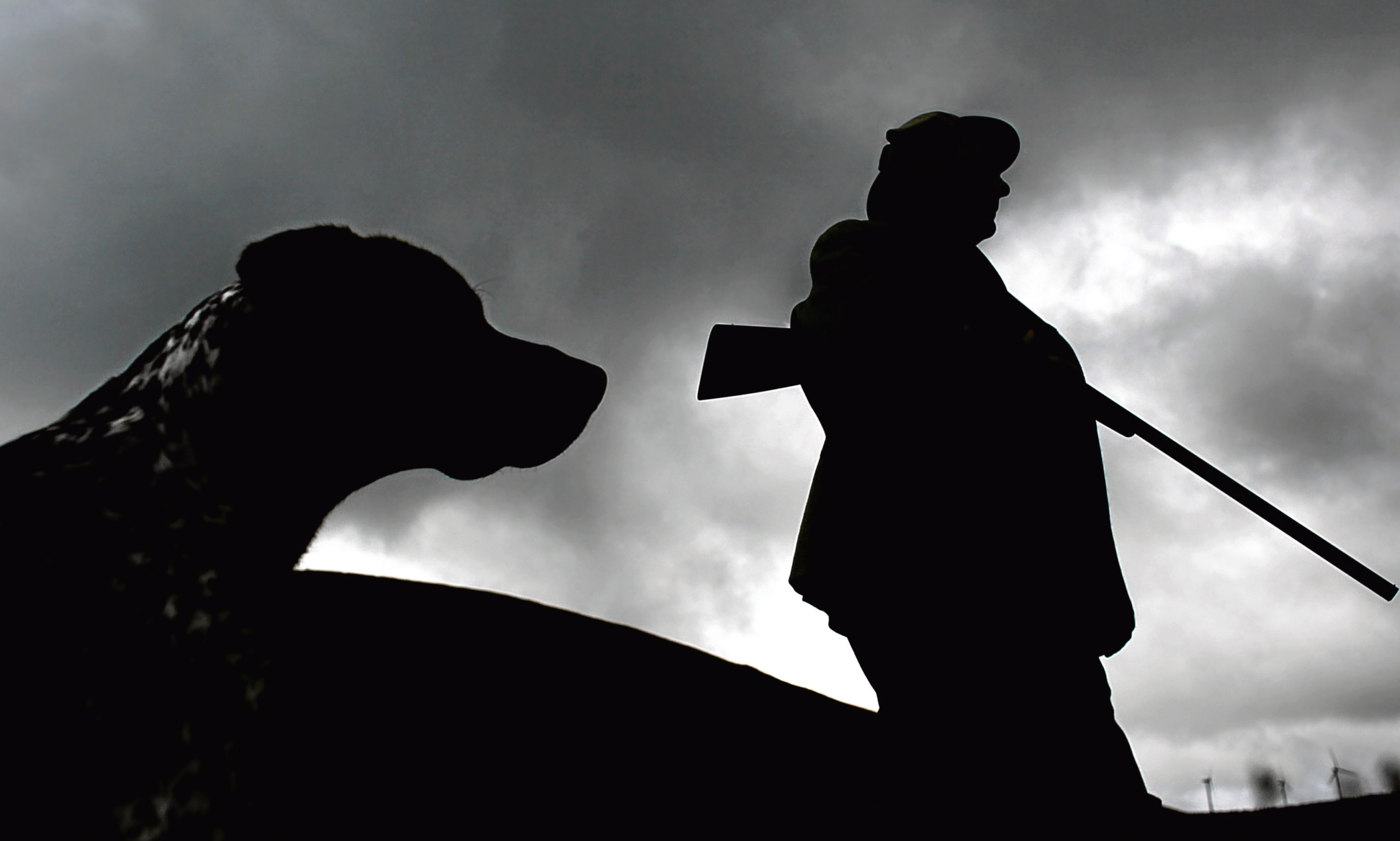 A gamekeeper and his dog at work on a Scottish moor.