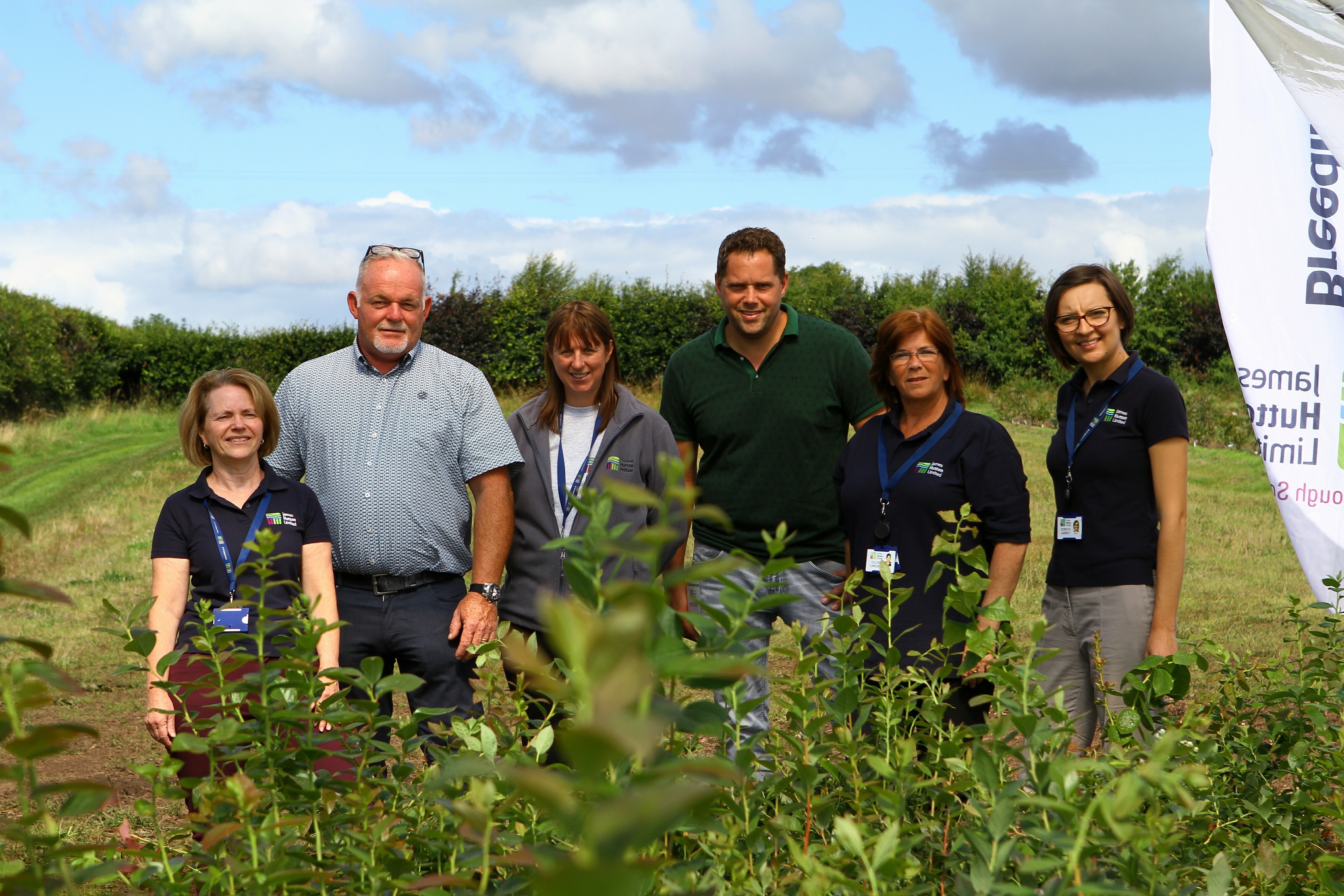 The consortium aims to breed large berries that are suited to local conditions