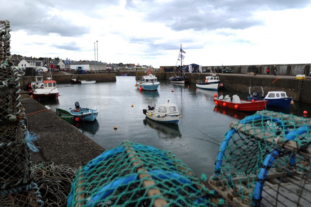 Johnshaven Harbour during the fish festival.