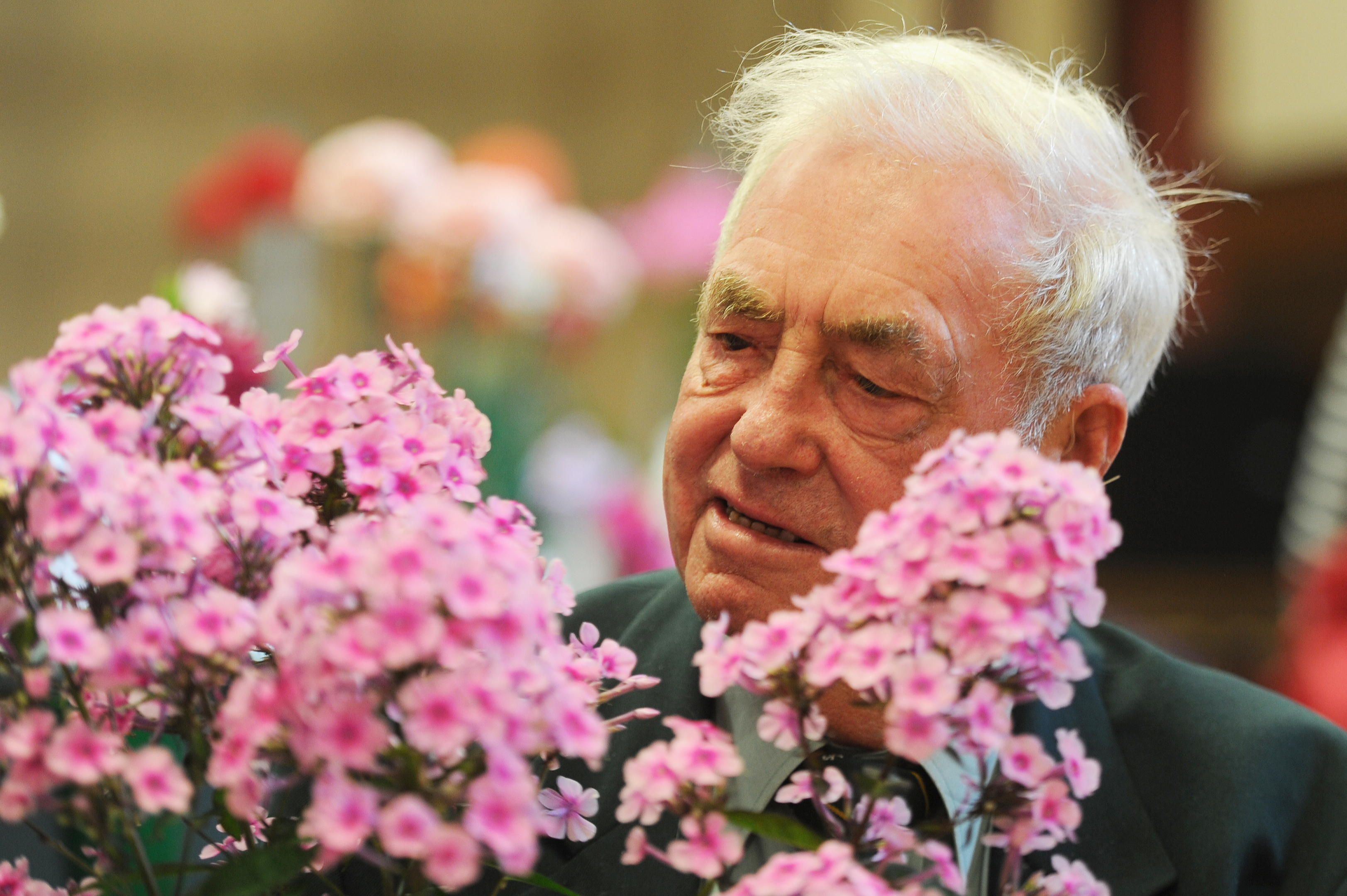 Forfar Horticultural Society Chairman, Les Craib with his phlox plant.