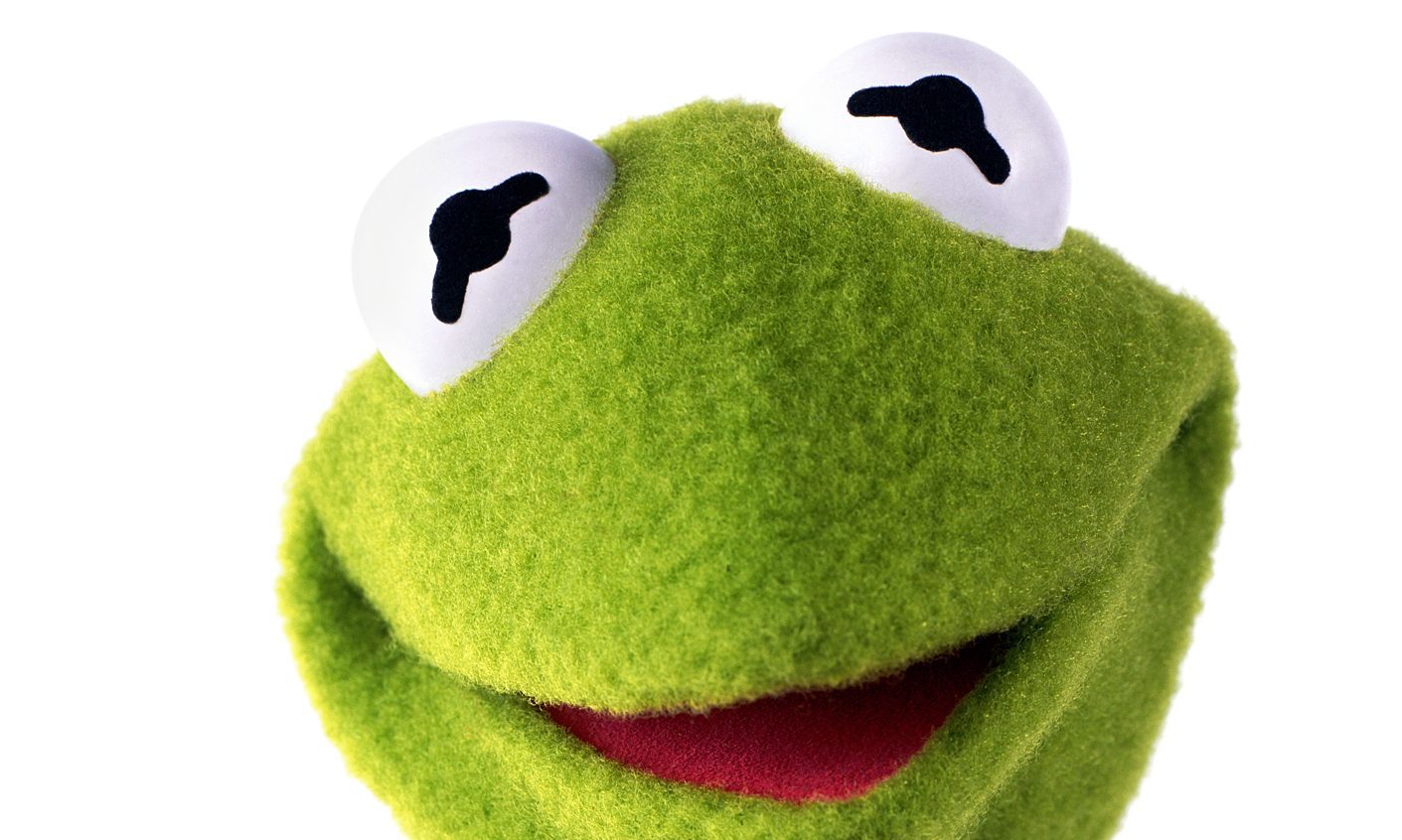 The lighthearted campaign argues that Kermit should be immortalised in Dundee