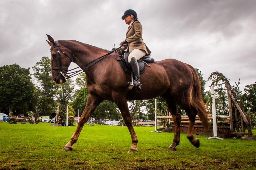 Scenes from the equestrian events at Perth Show.