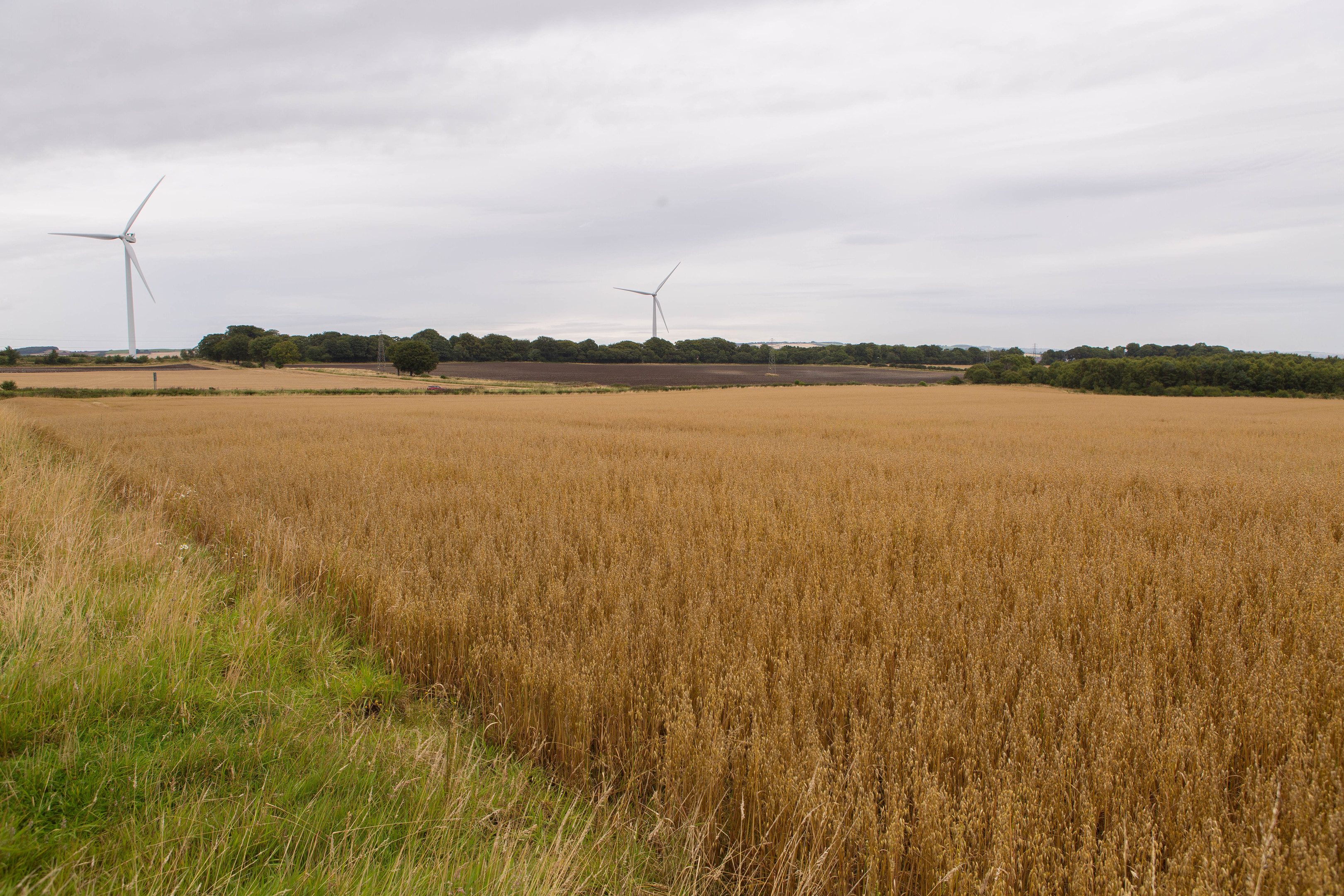 Part of the Wellsgreen site.