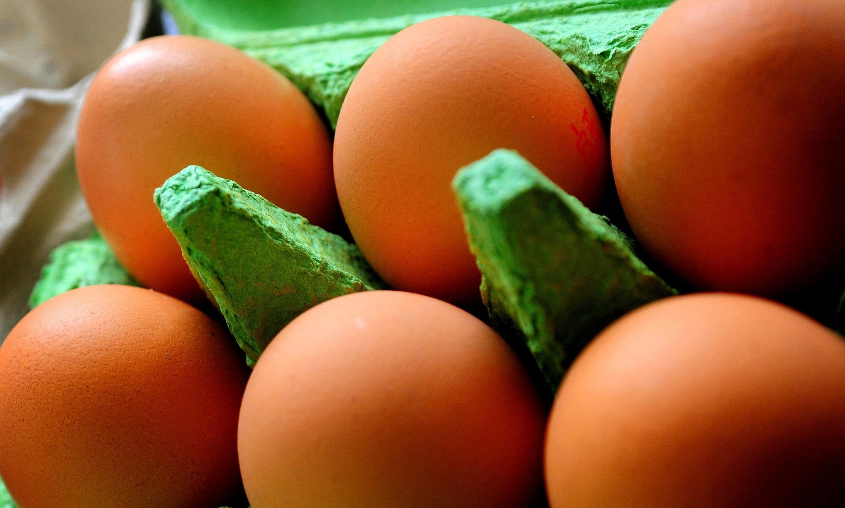 Egg producers have made significant progress in reducing salmonella in flocks