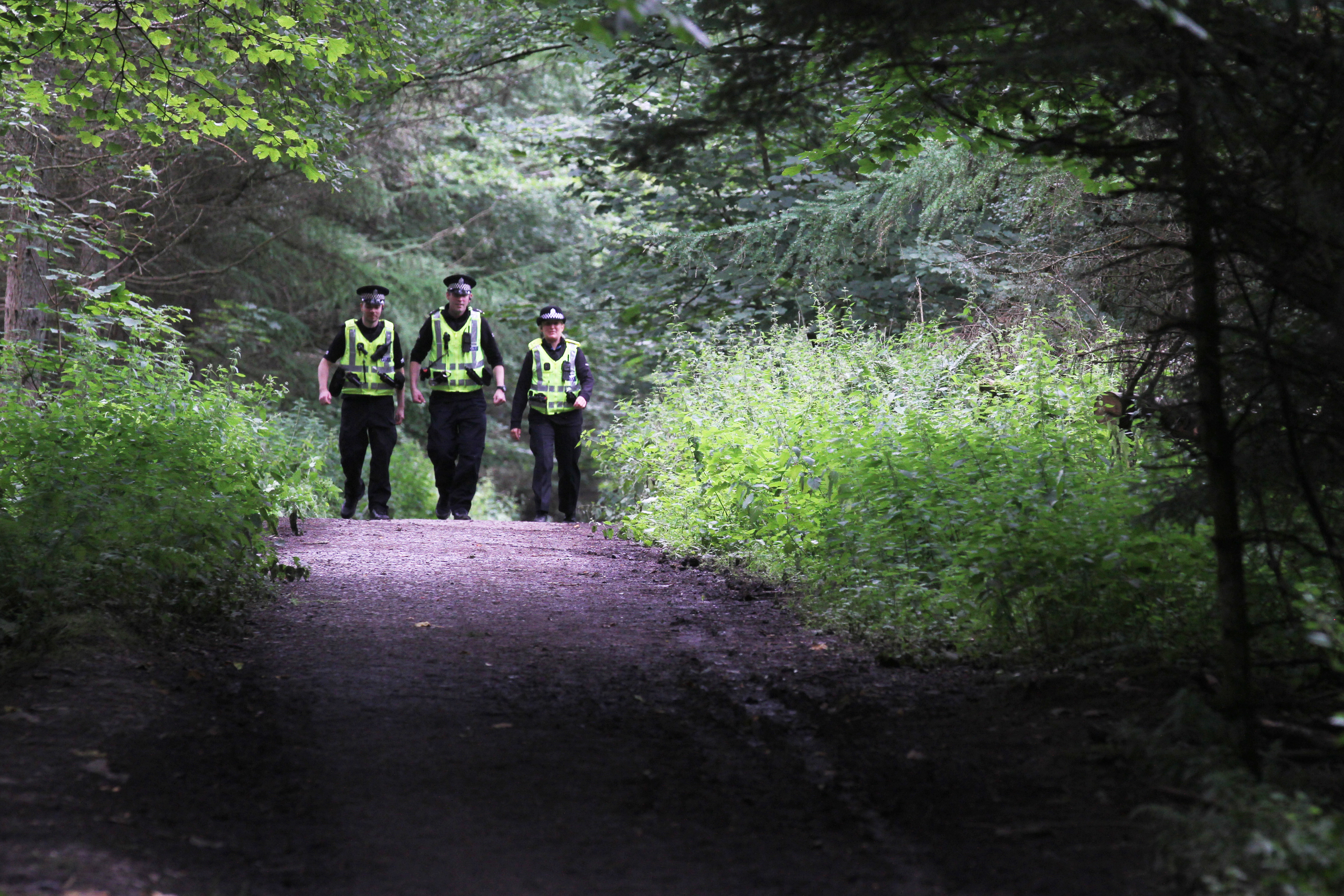 Police officers searching for evidence in Templeton Woods.