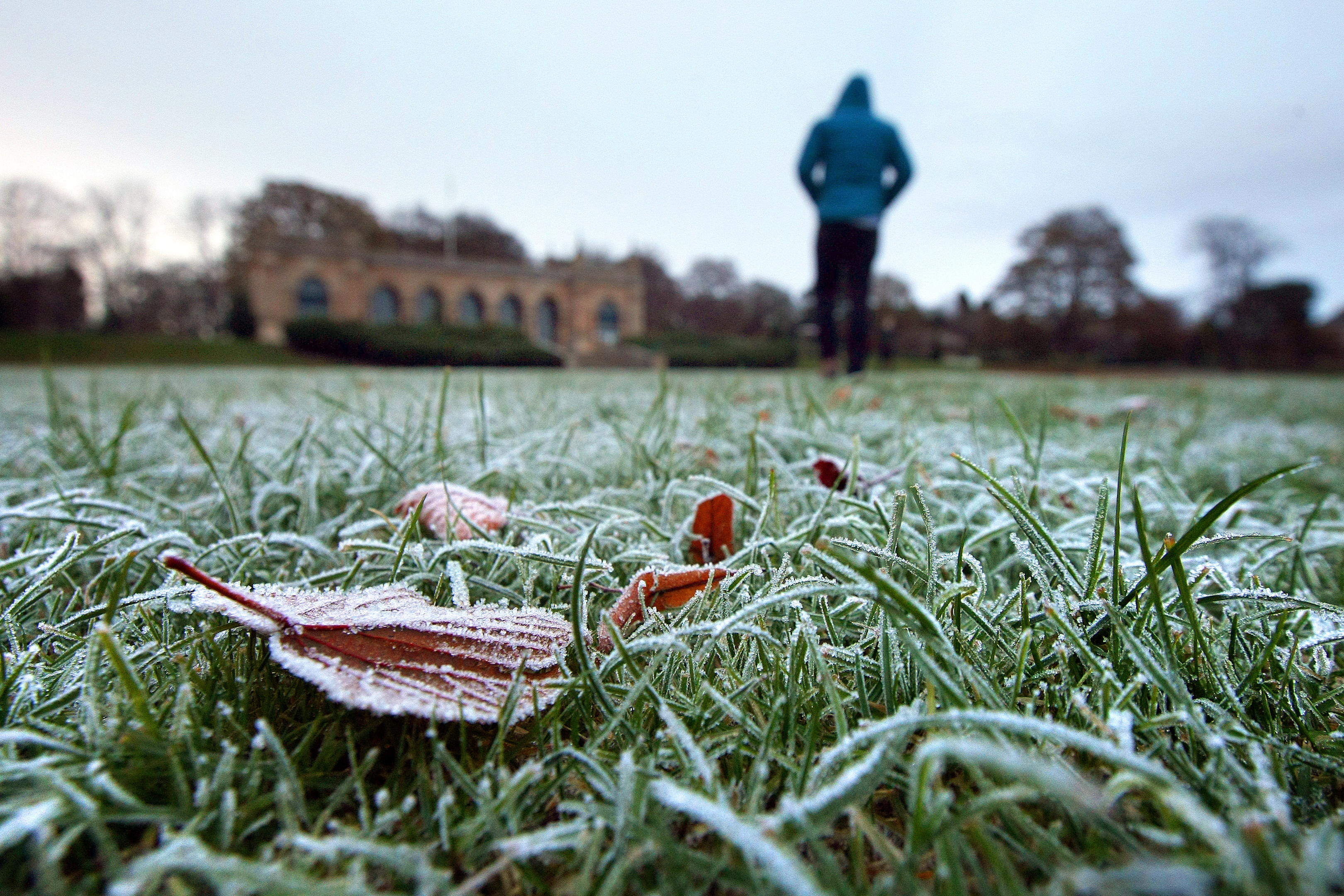 A frost covered park