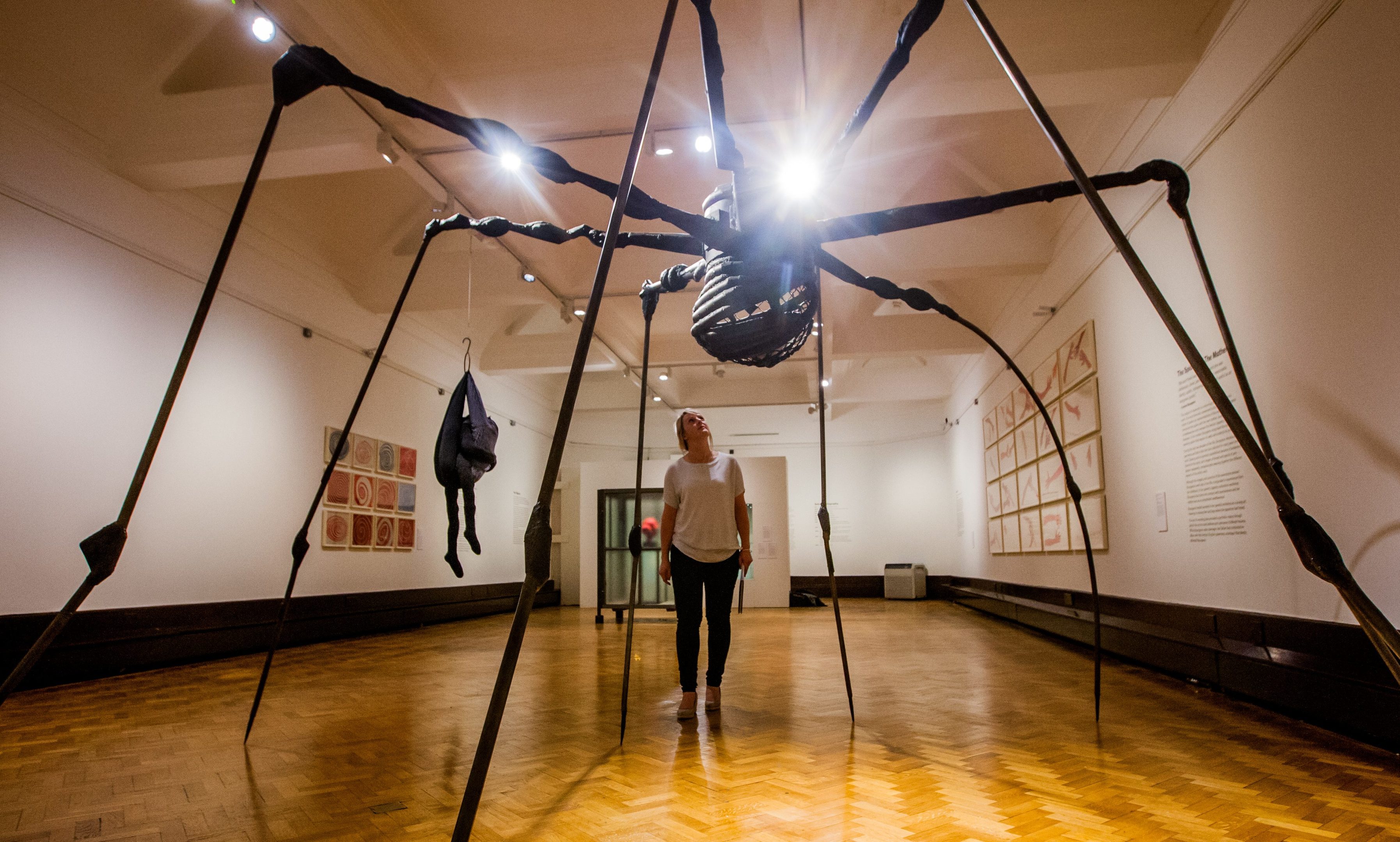 Rhona Rodger (Senior Collections Officer, Perth Museum & Art Gallery) at the Artist Rooms exhibition.