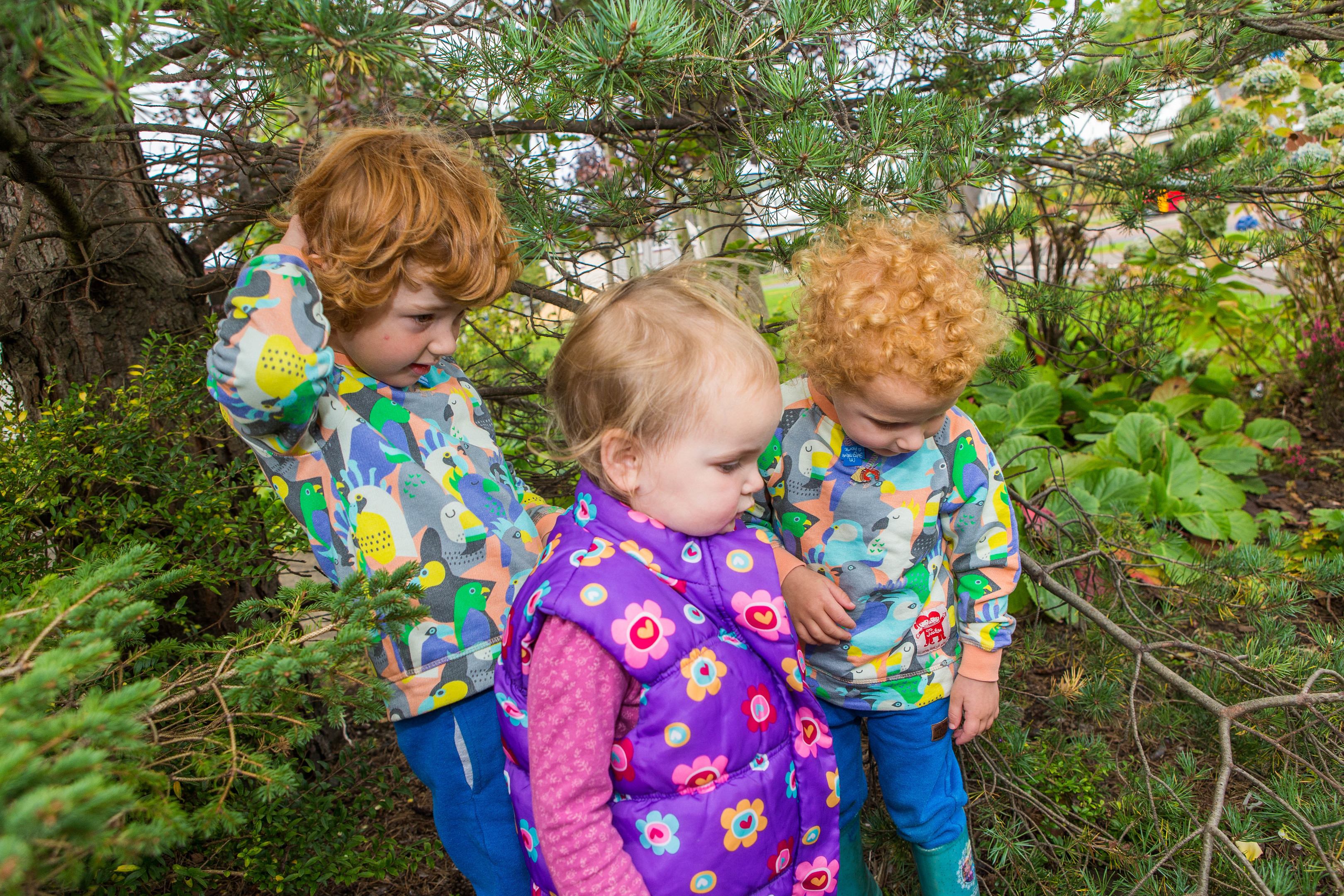 Jamie Allan (5), Robbie Allan (3) and Sabiha Ricks (2) explore the trees