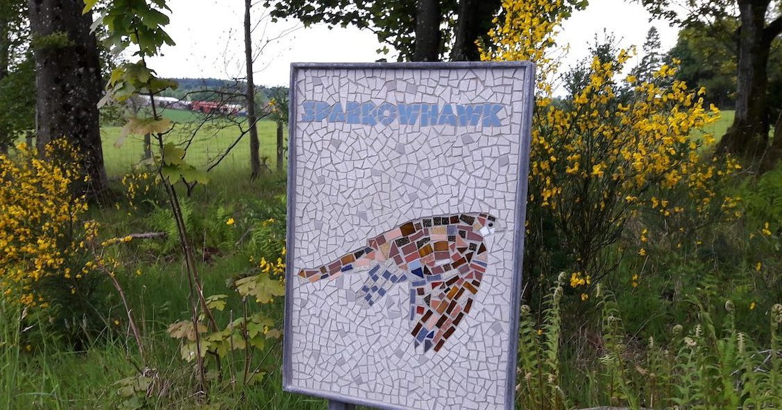 The sparrowhawk mosaic in situ before it was stolen.